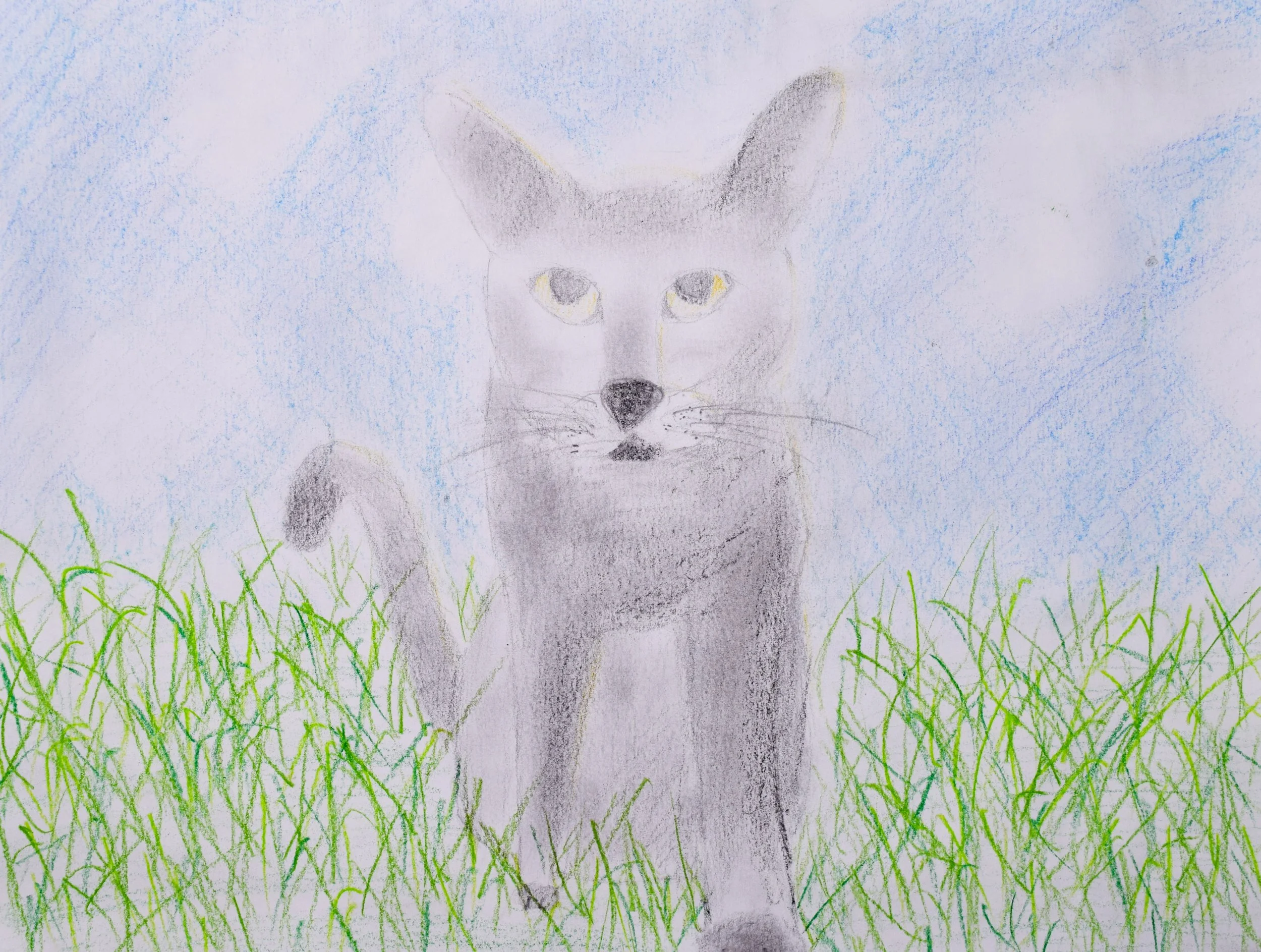 Connor S Graham-2.jpg