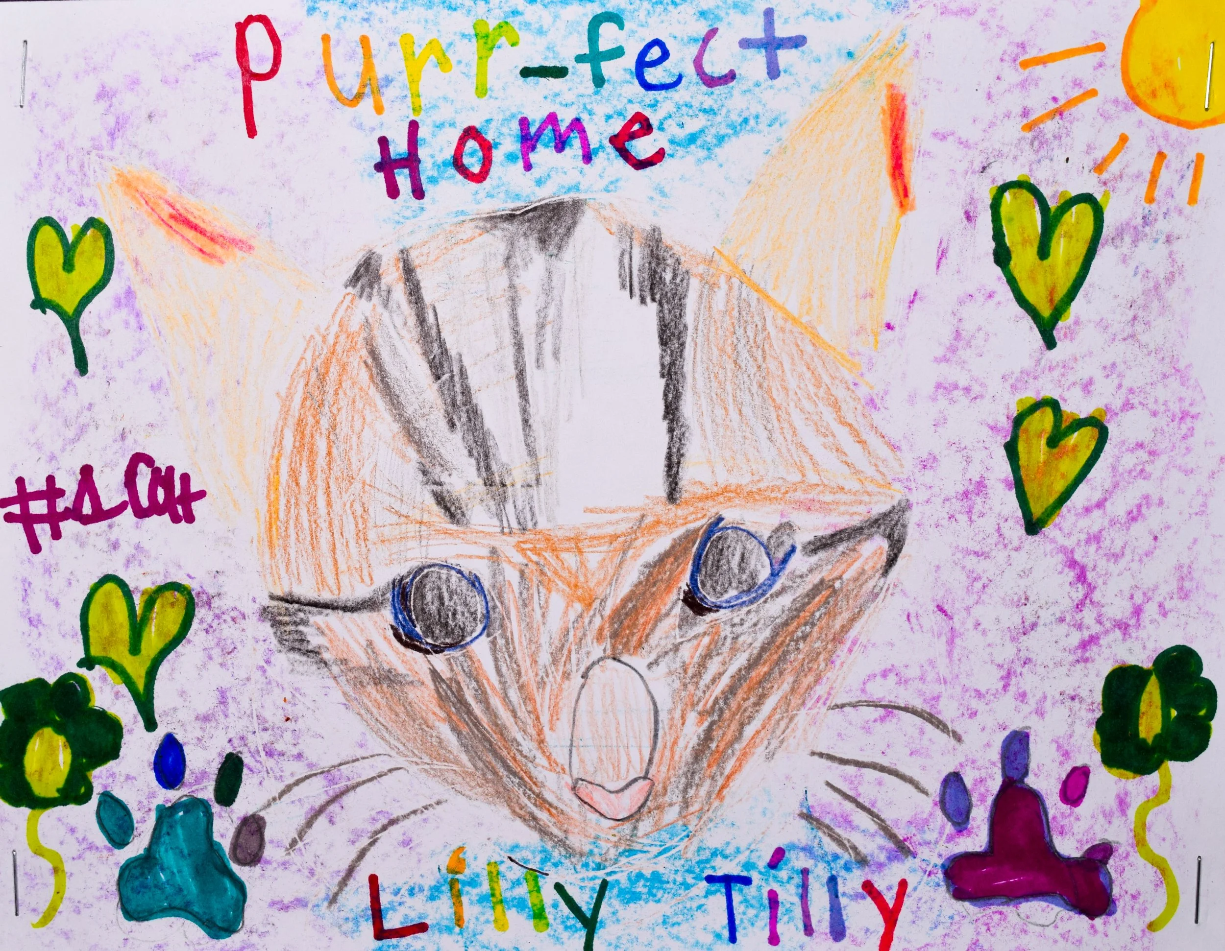 Maria L Robertson-2.jpg