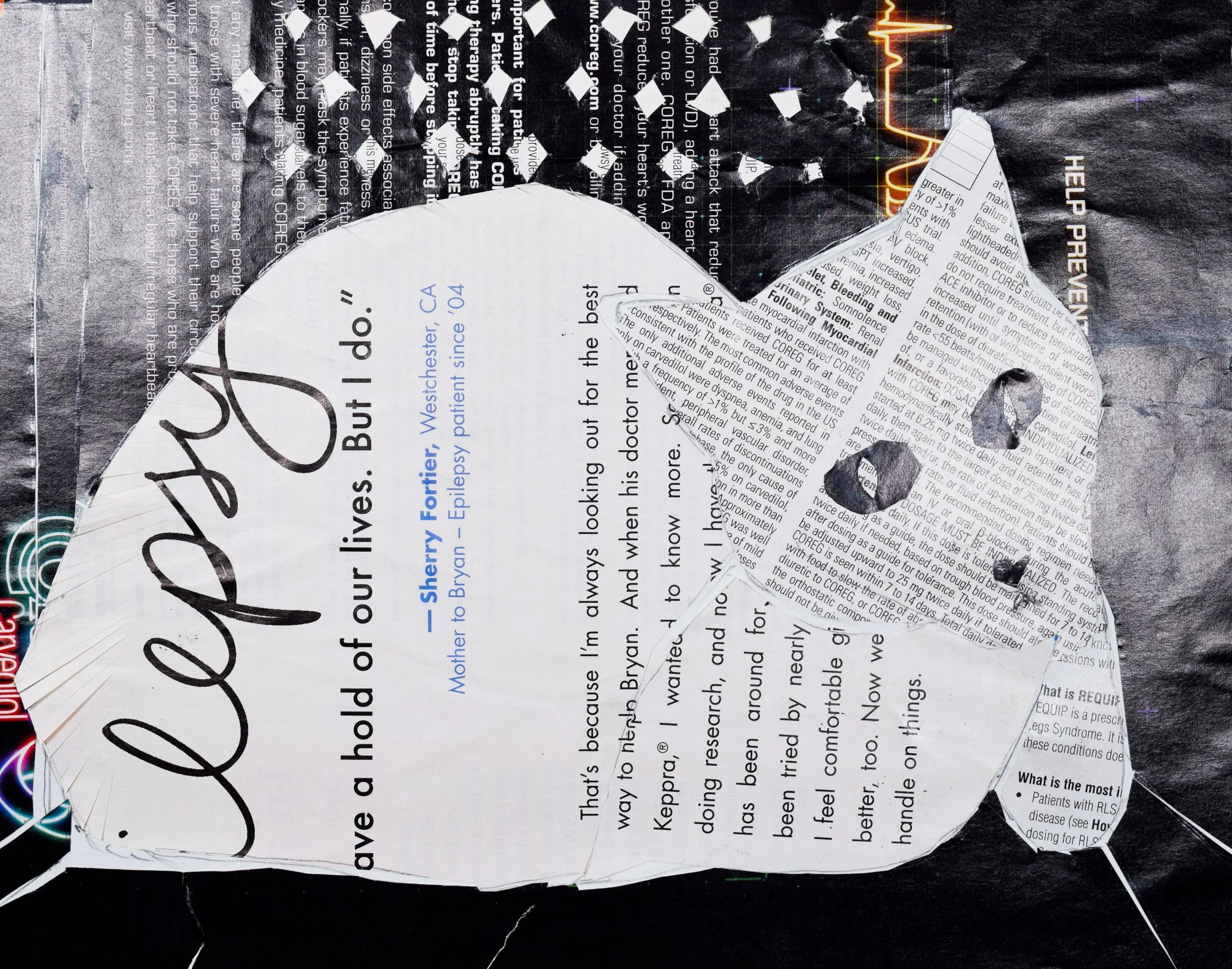 Stephen R Smith-2.jpg