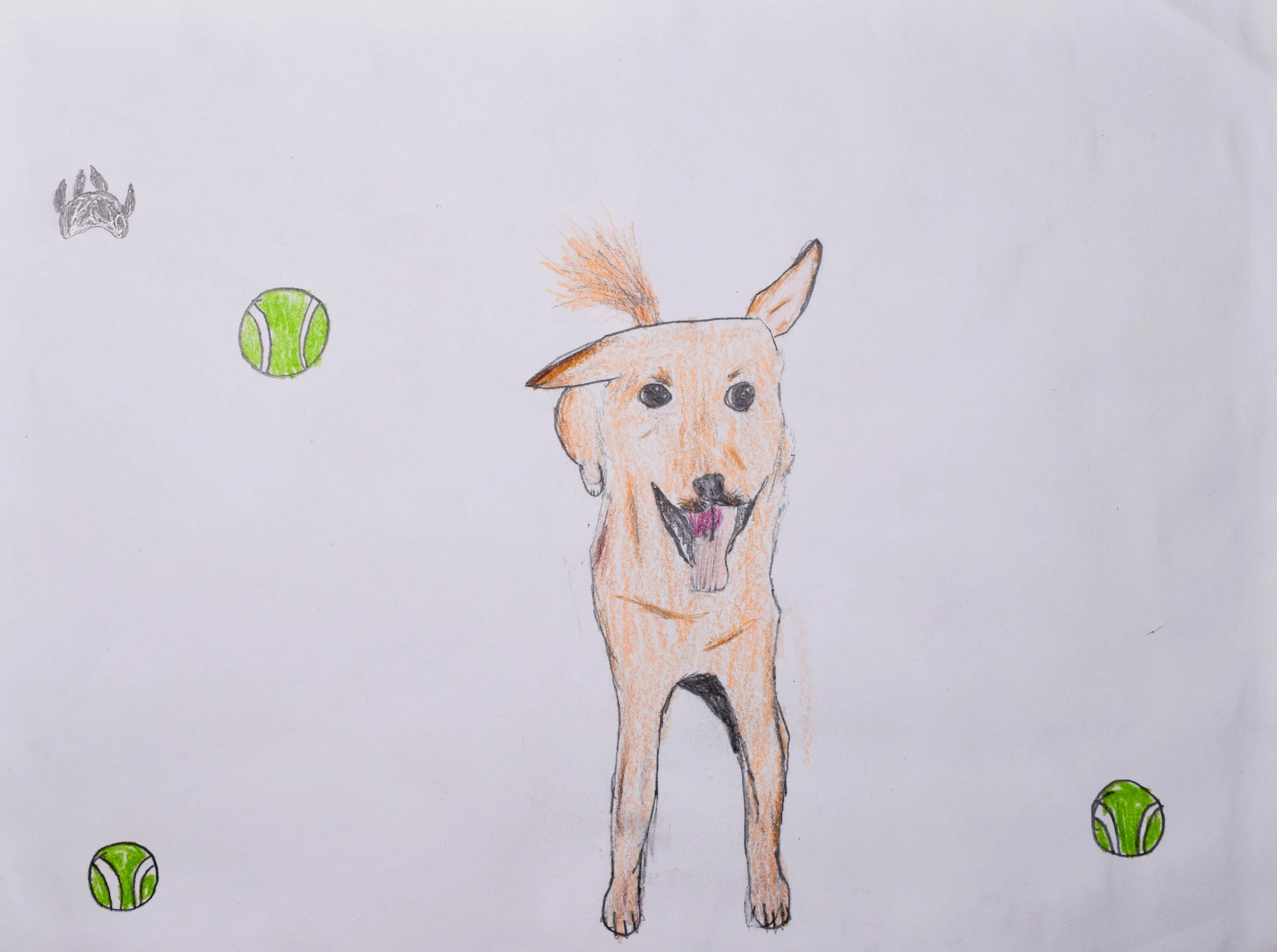 Judah R Graham-2.jpg