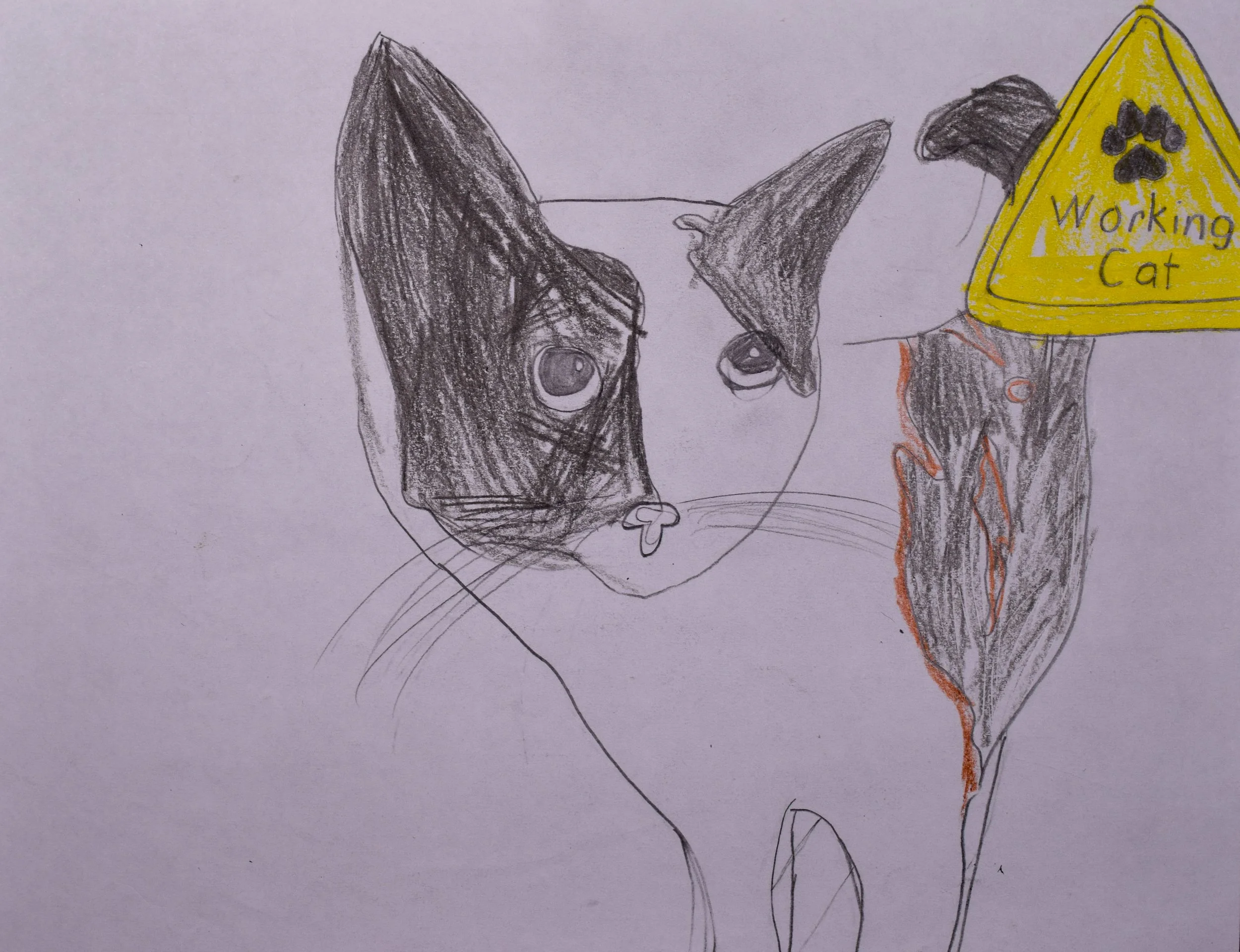 Braylynn P 2 Cathy-2.jpg