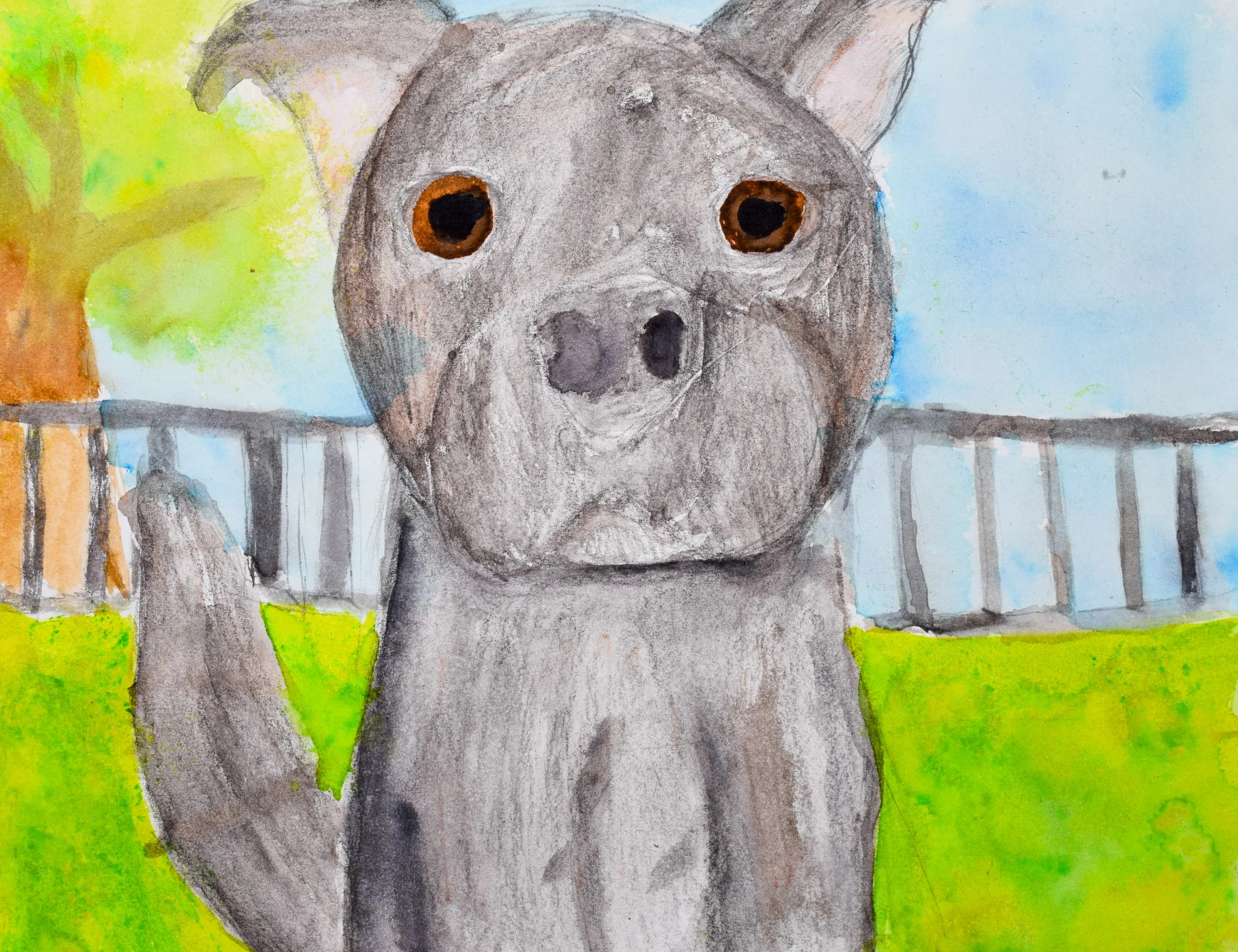 Liz C Momenzadeh-2.jpg