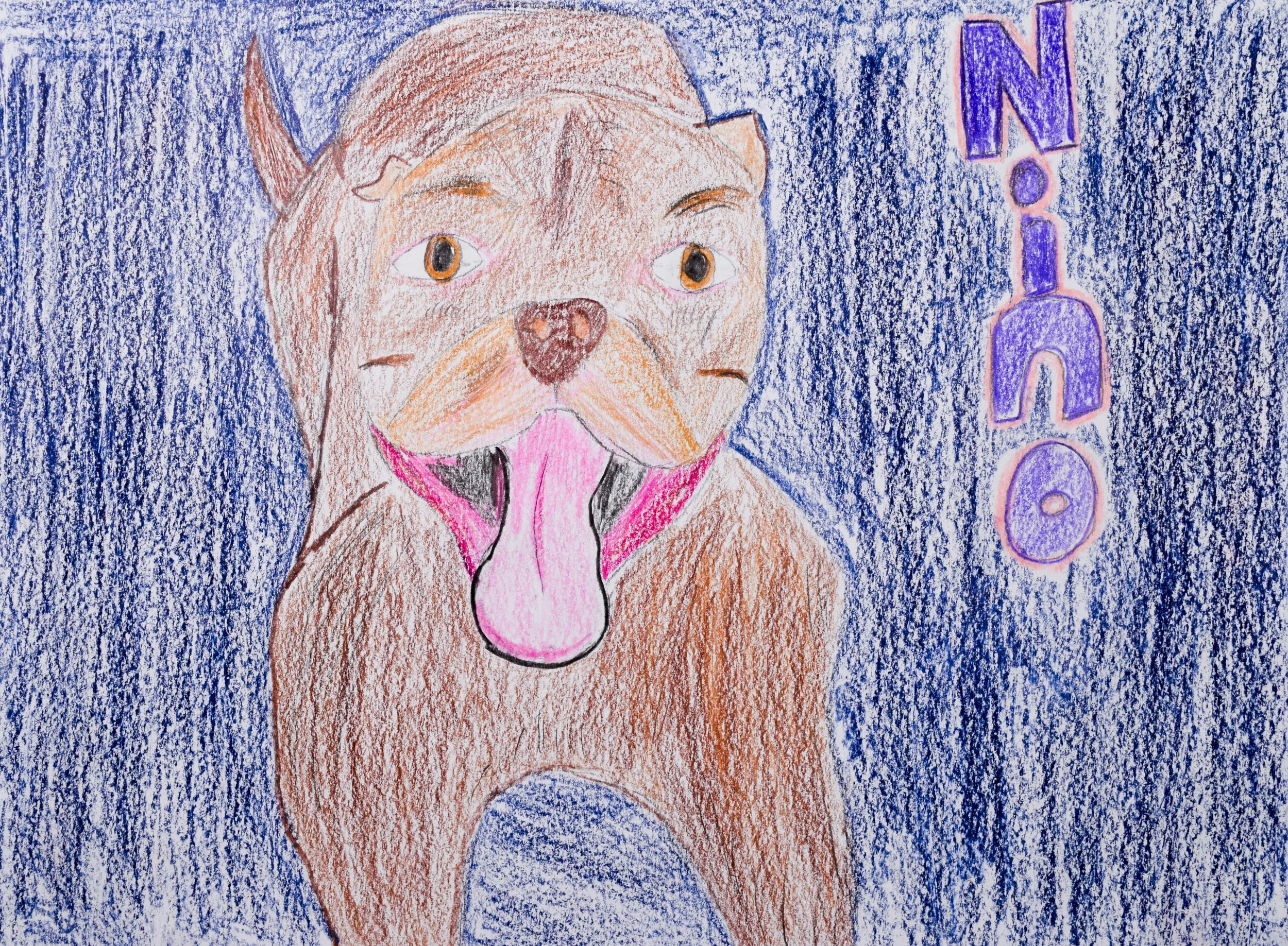 Brady C Graham-2.jpg