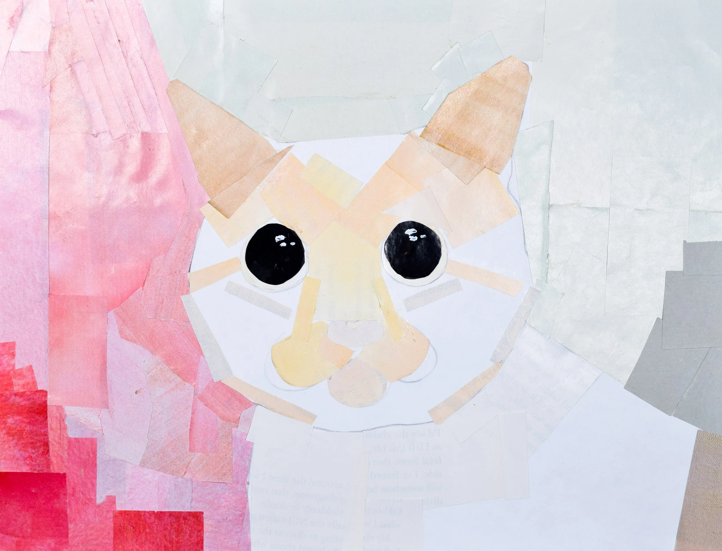 Arlea S Schappel-2.jpg