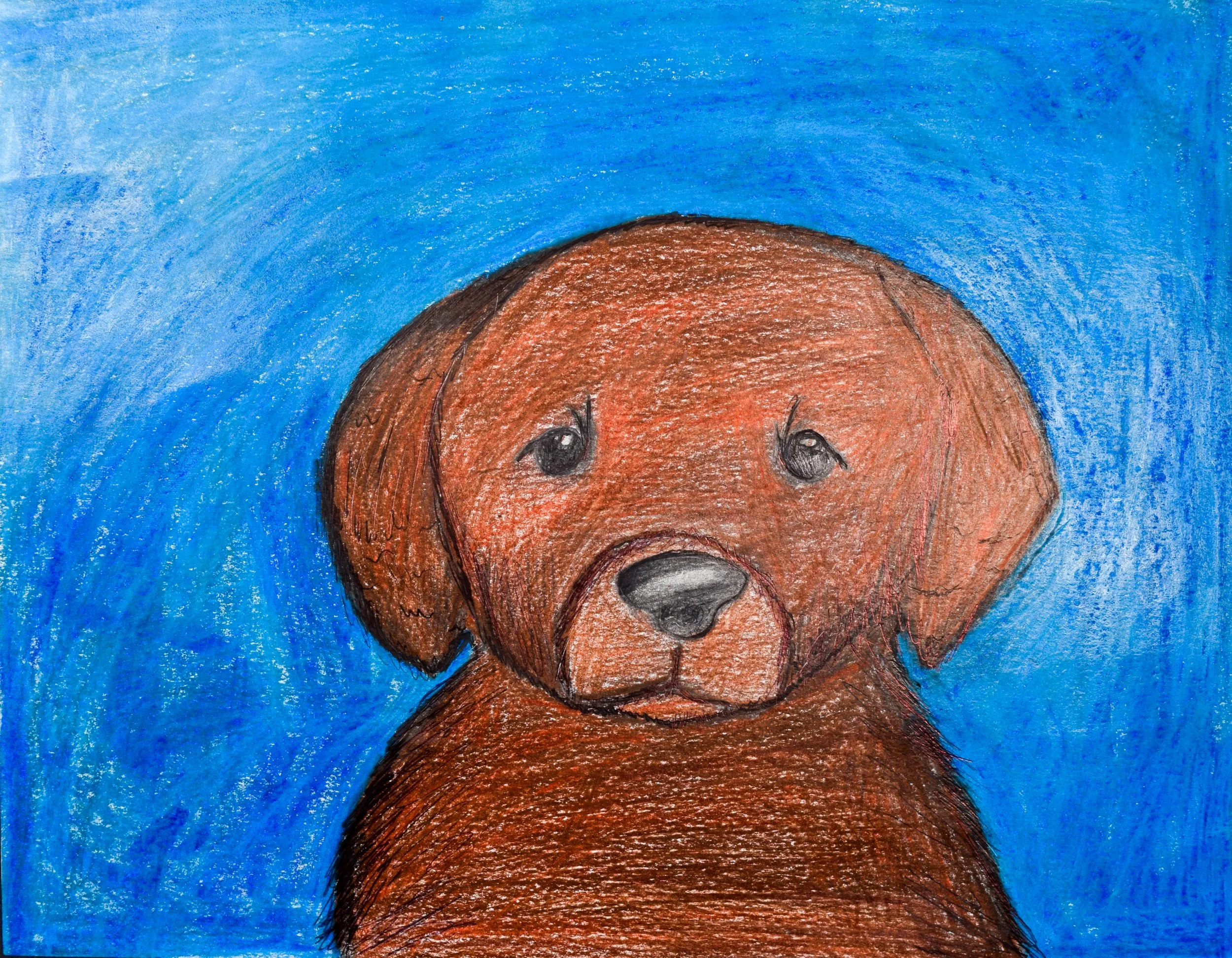 Angelica S Fains-2.jpg