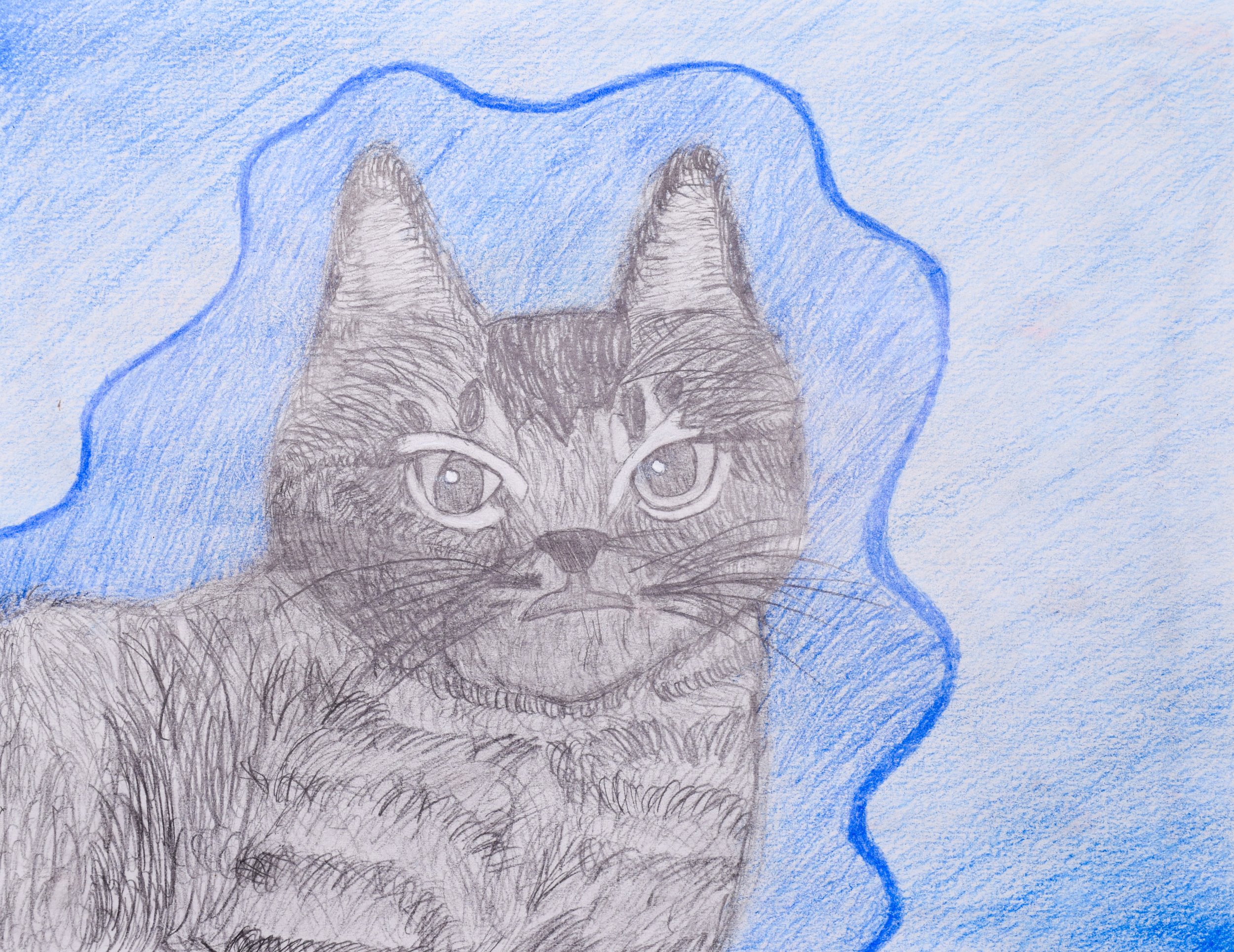 Emma C Simpson-2.jpg