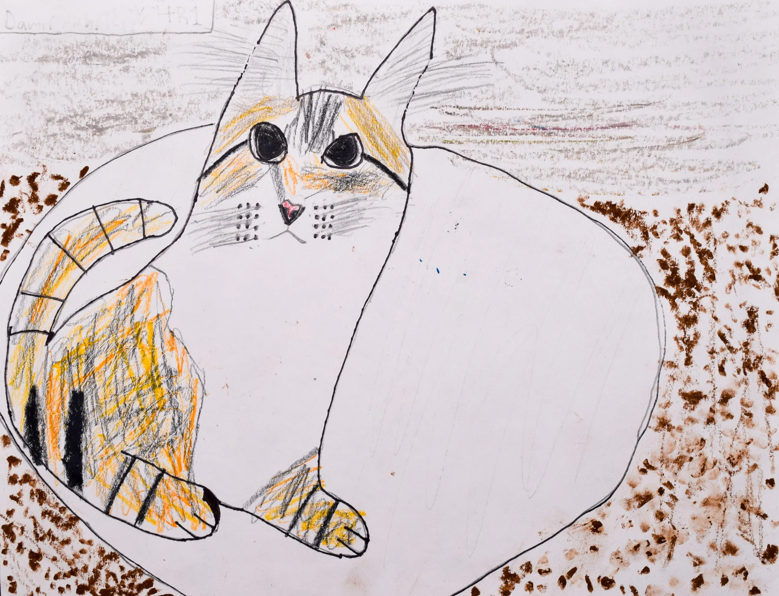 Damir A Towner-2.jpg