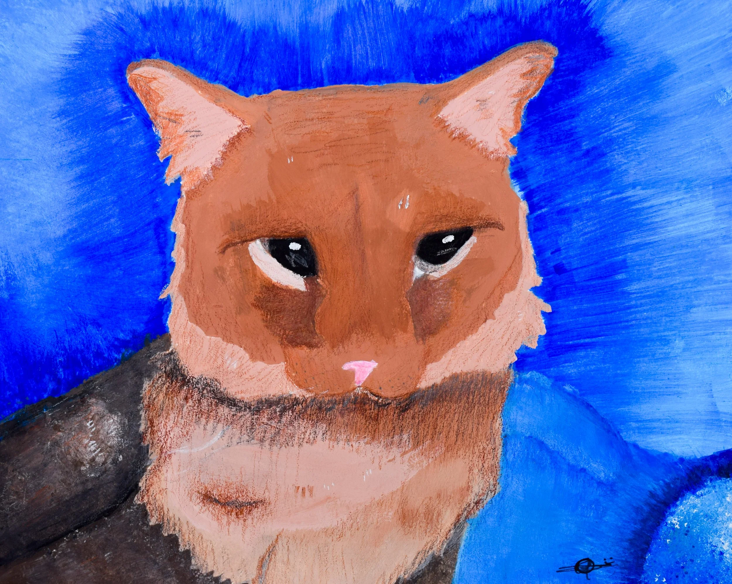 Shindy A Schappel-2.jpg