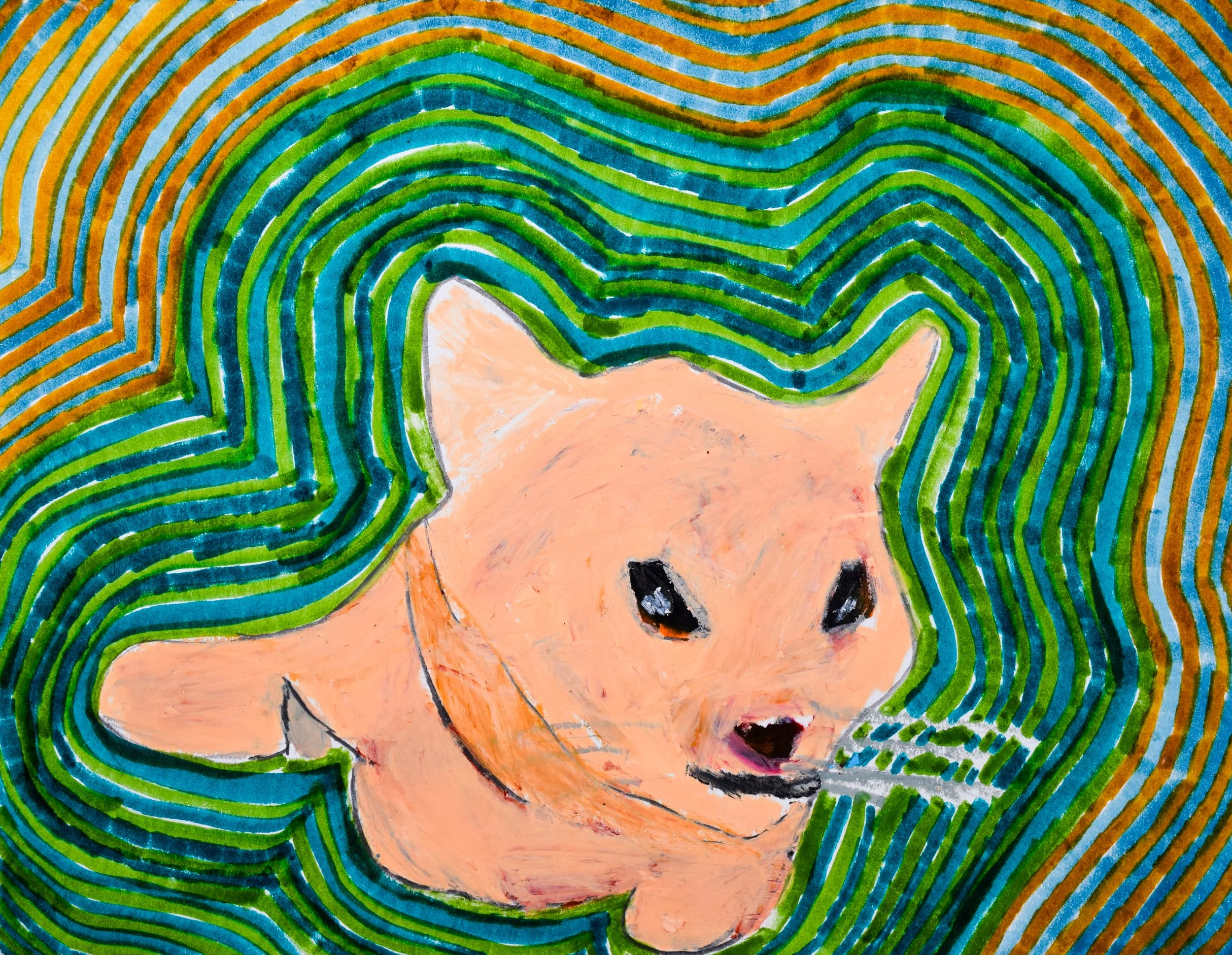 Kayilan N Momenzadeh-2.jpg