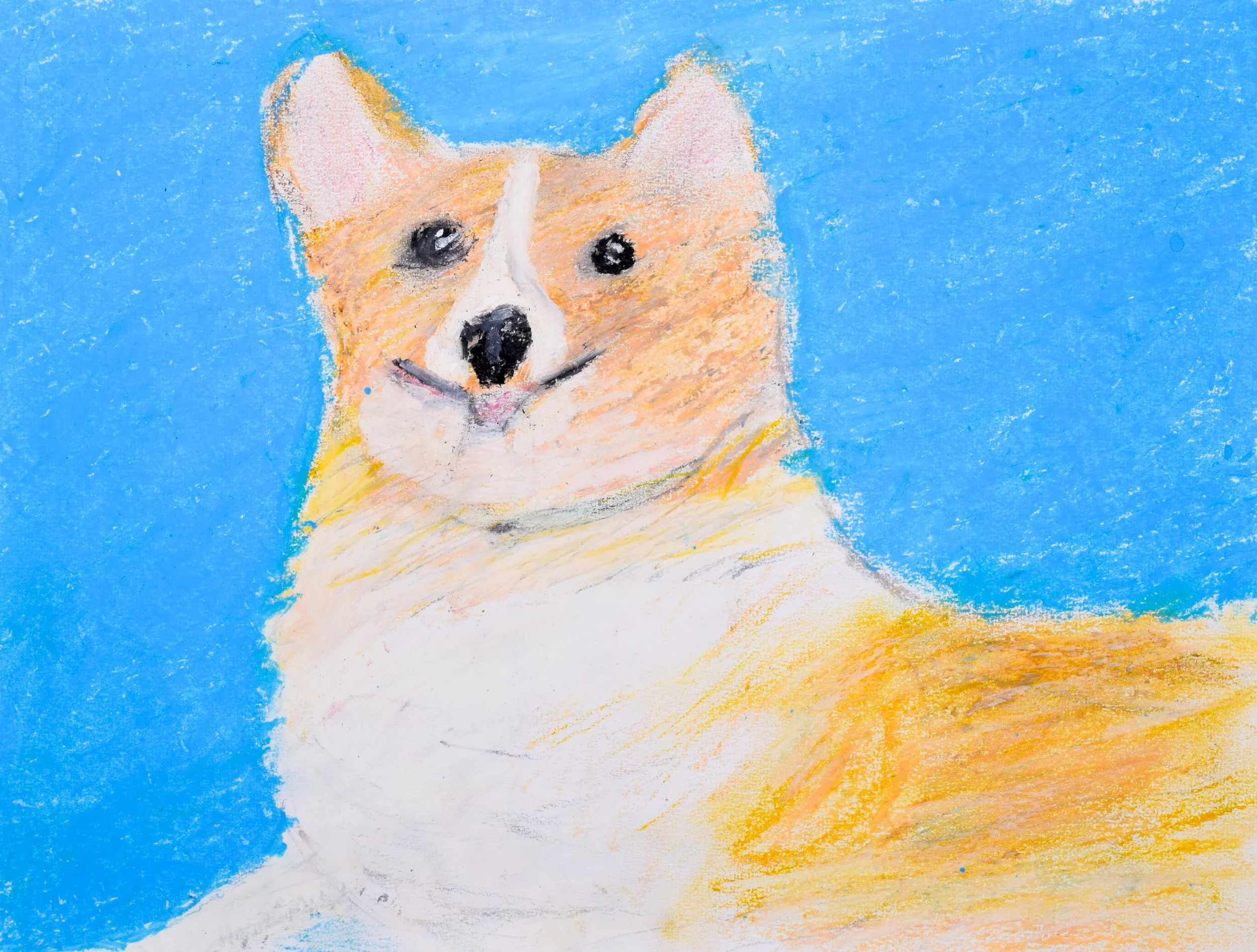 Miles T Citrano-2.jpg