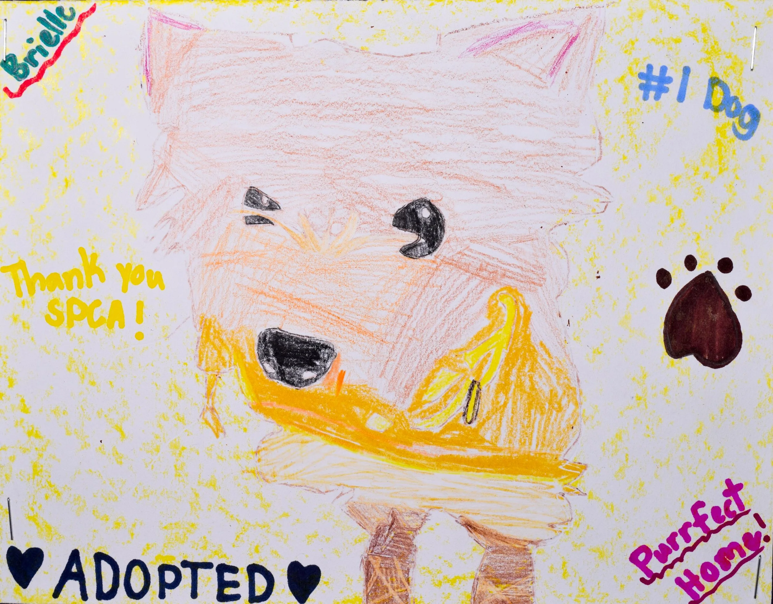 Nora K Robertson-2.jpg