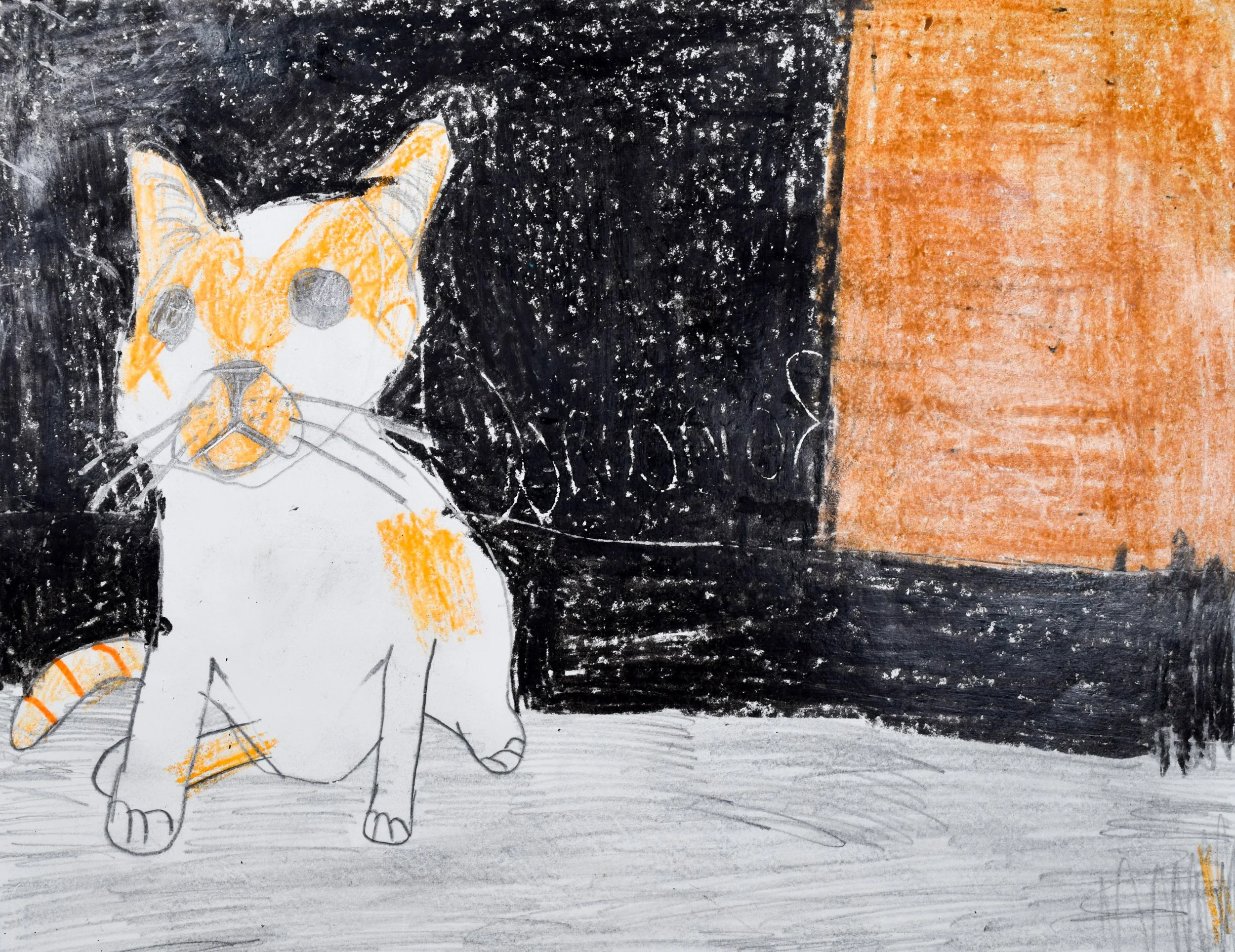 Ronan O Seyler-2.jpg