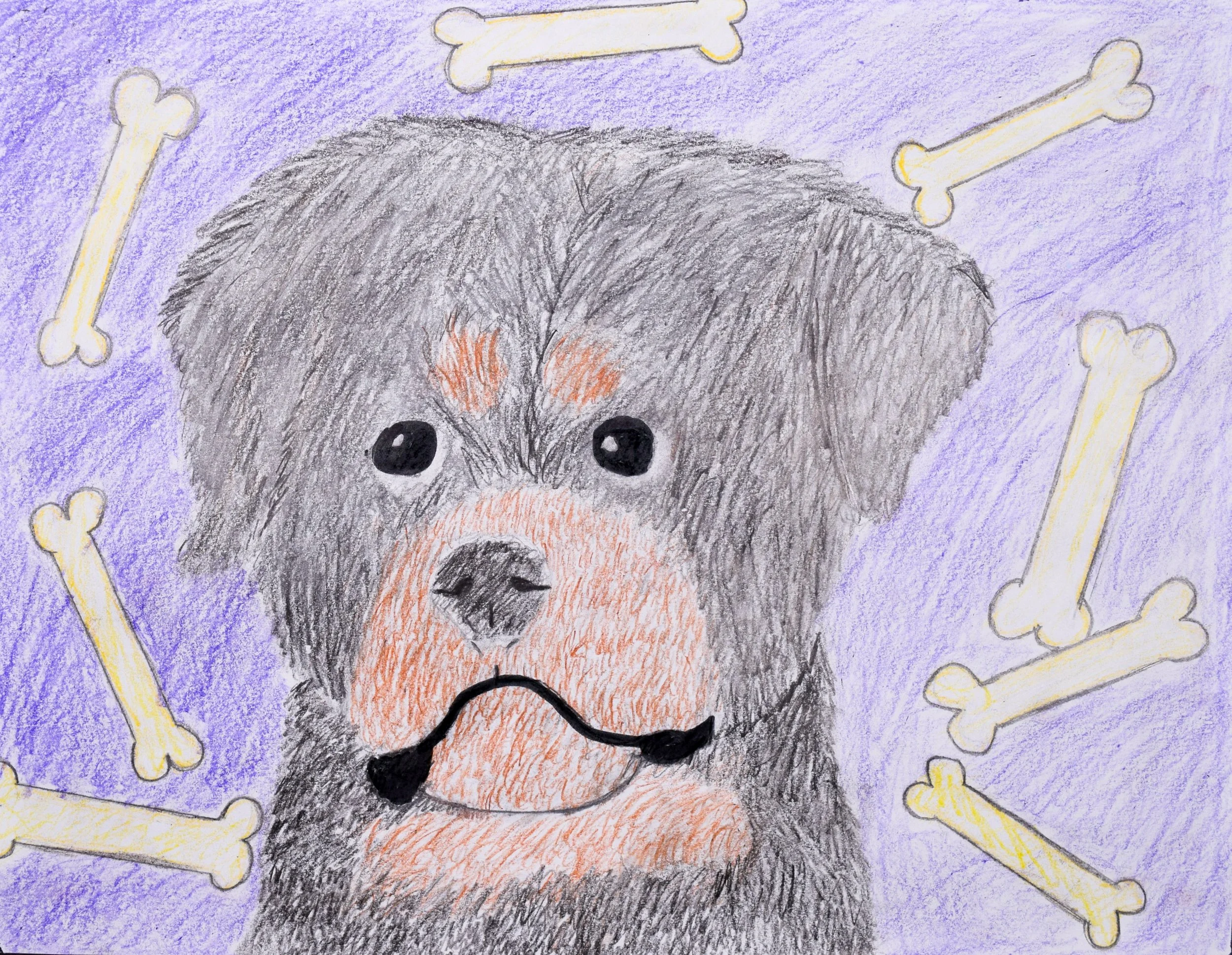 Connor S Simpson-2.jpg