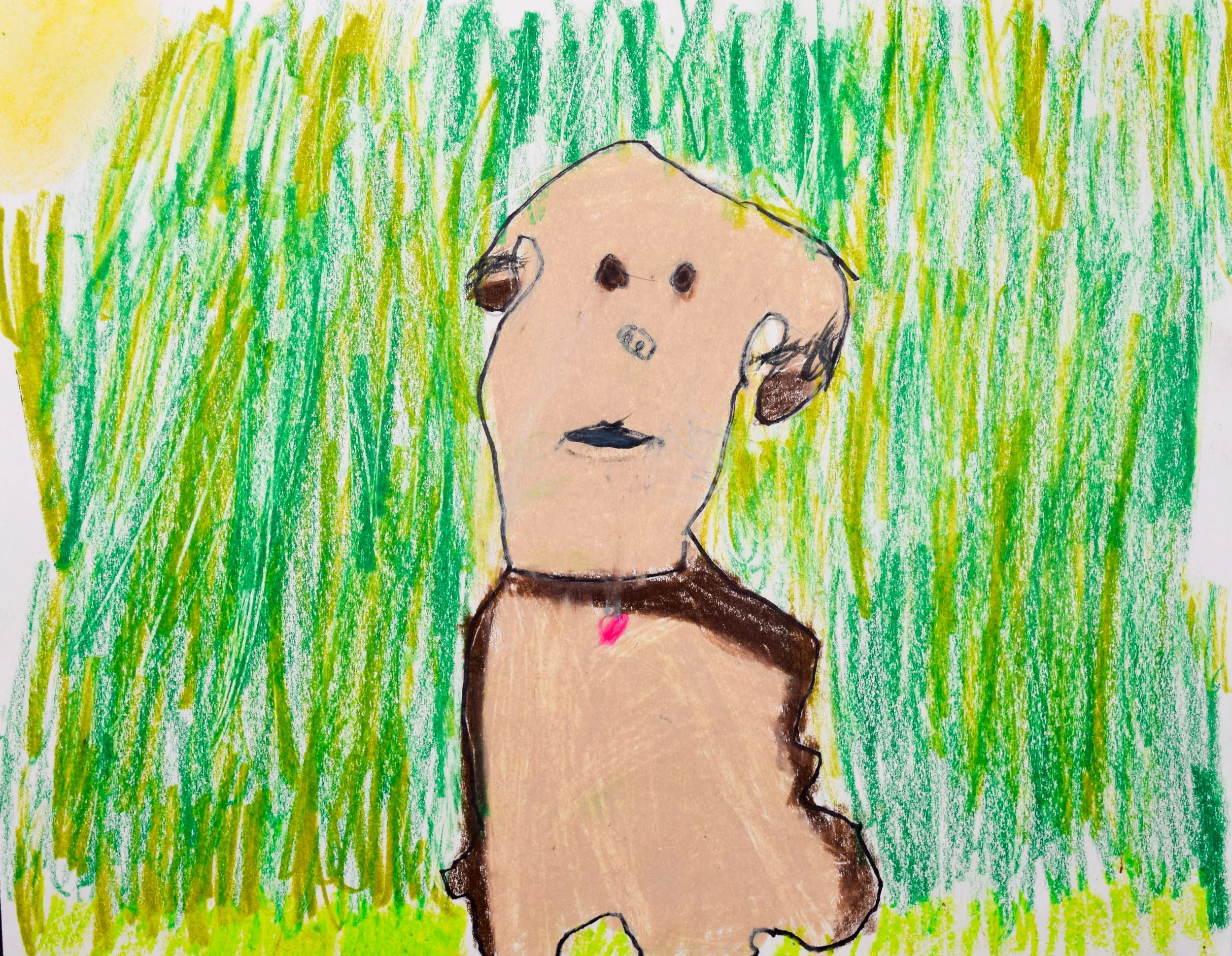 Jordan B Towner-2.jpg