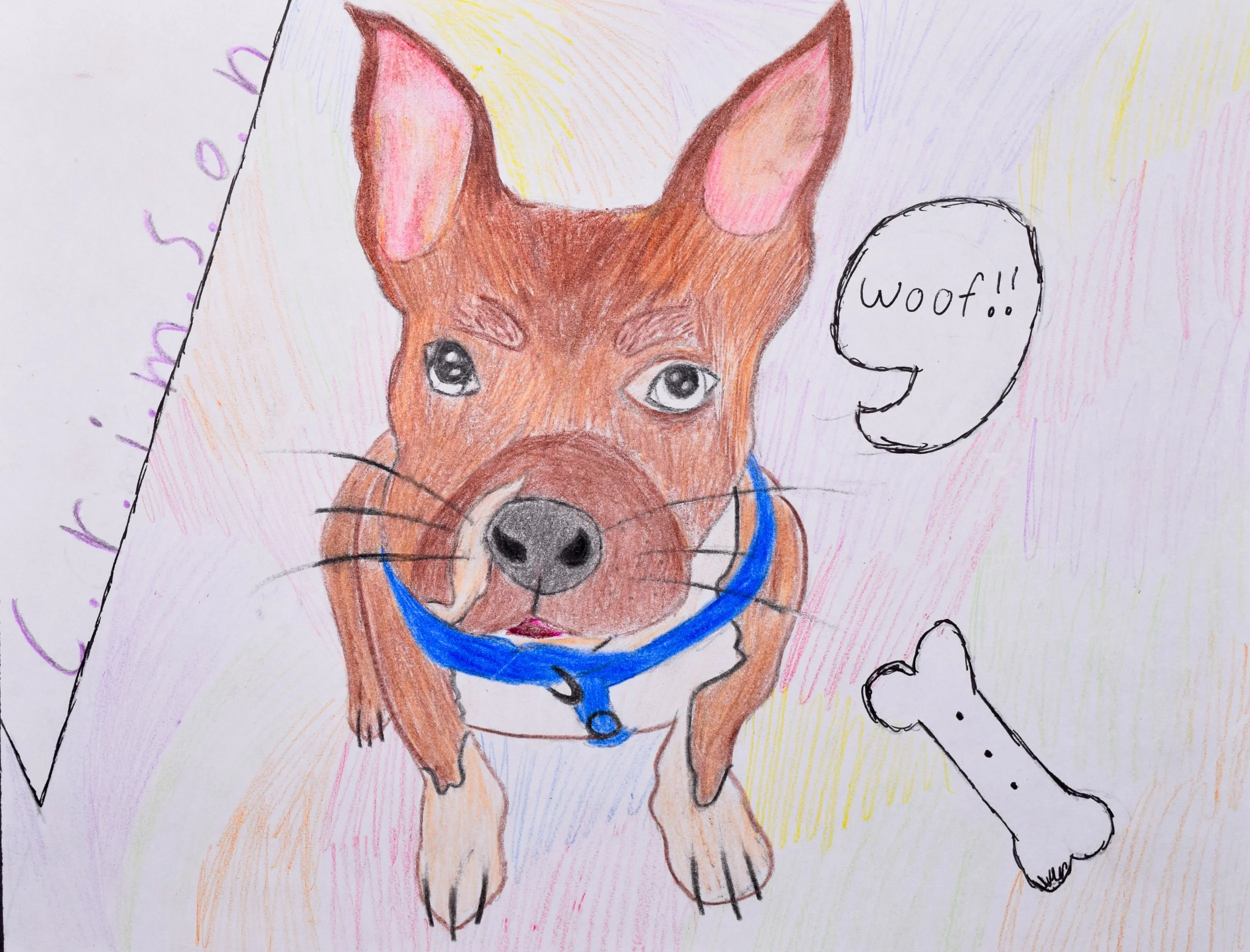 Camila P Honaker-2.jpg