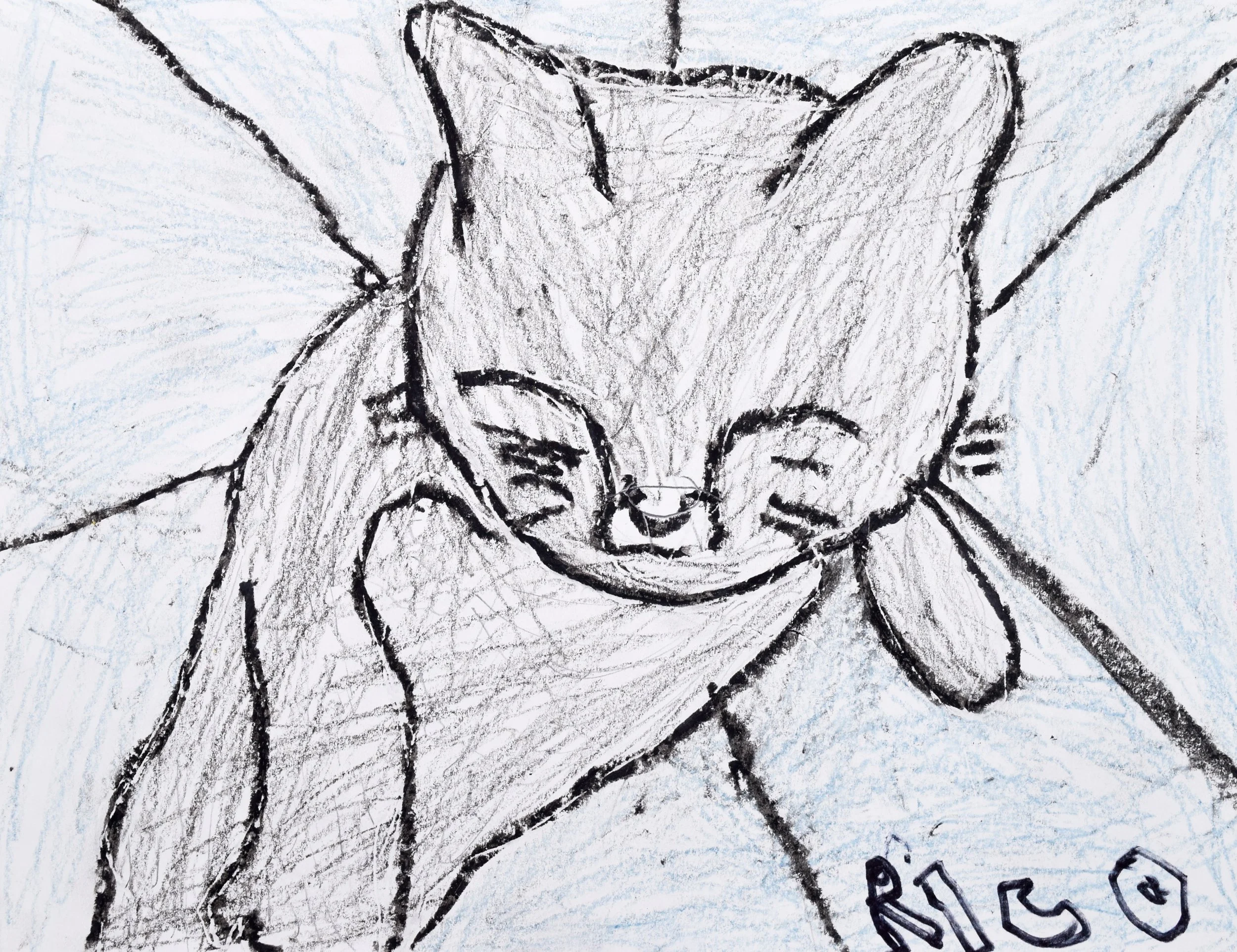 Rico R Windwer-Geppi-2.jpg