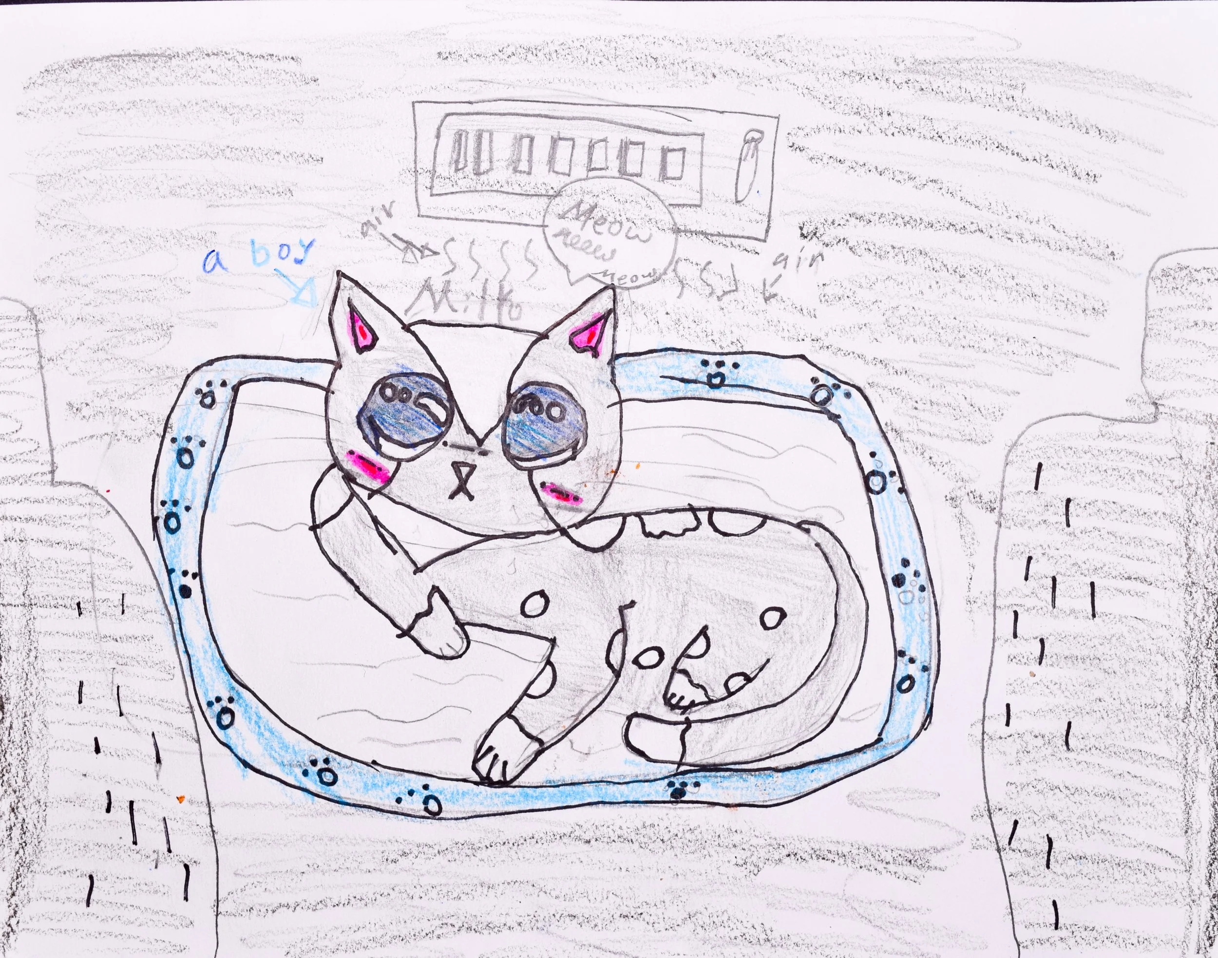 Leslie L Nelson-Lewis, Pfaff-2.jpg