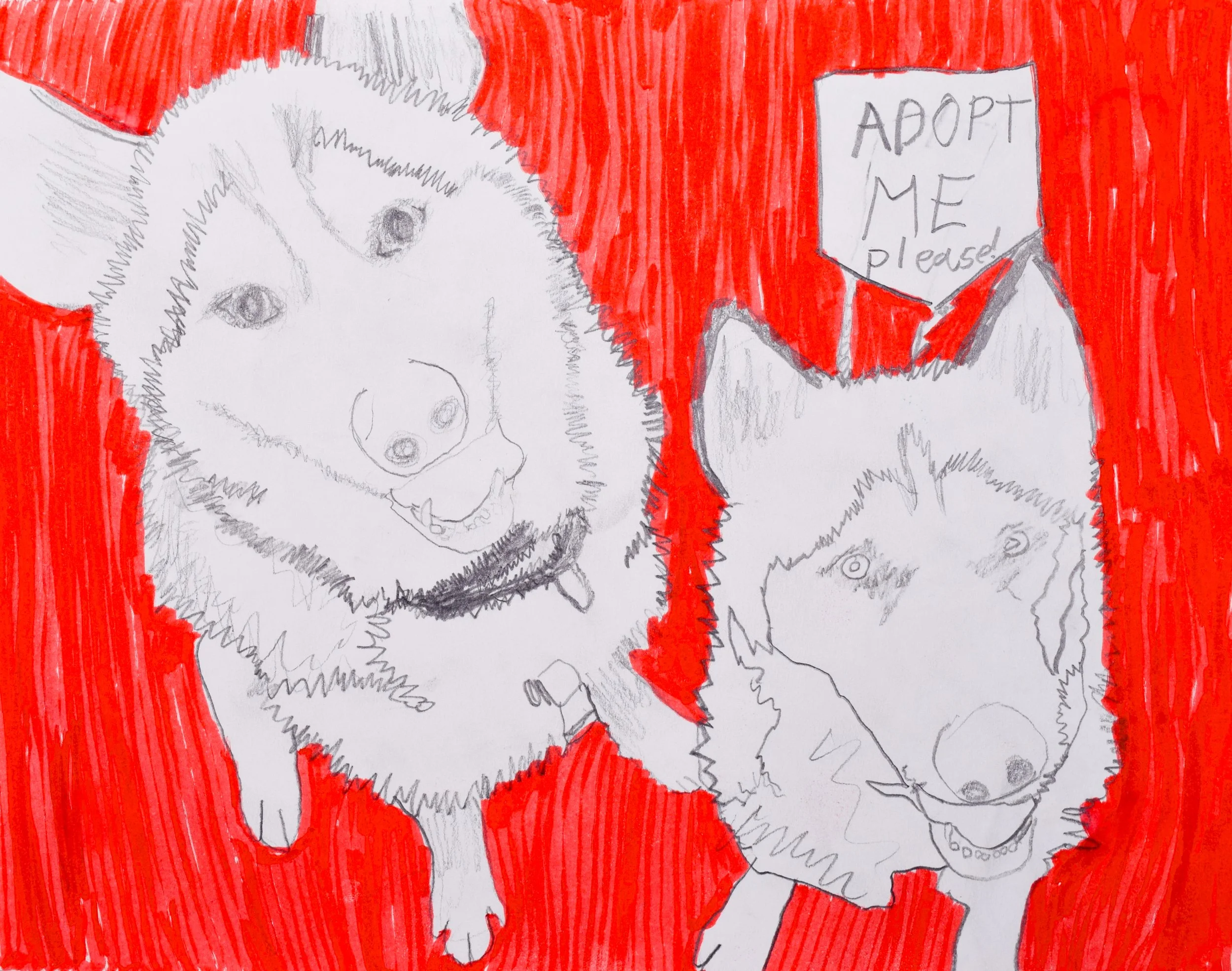 Evelyn P Thompson-2.jpg