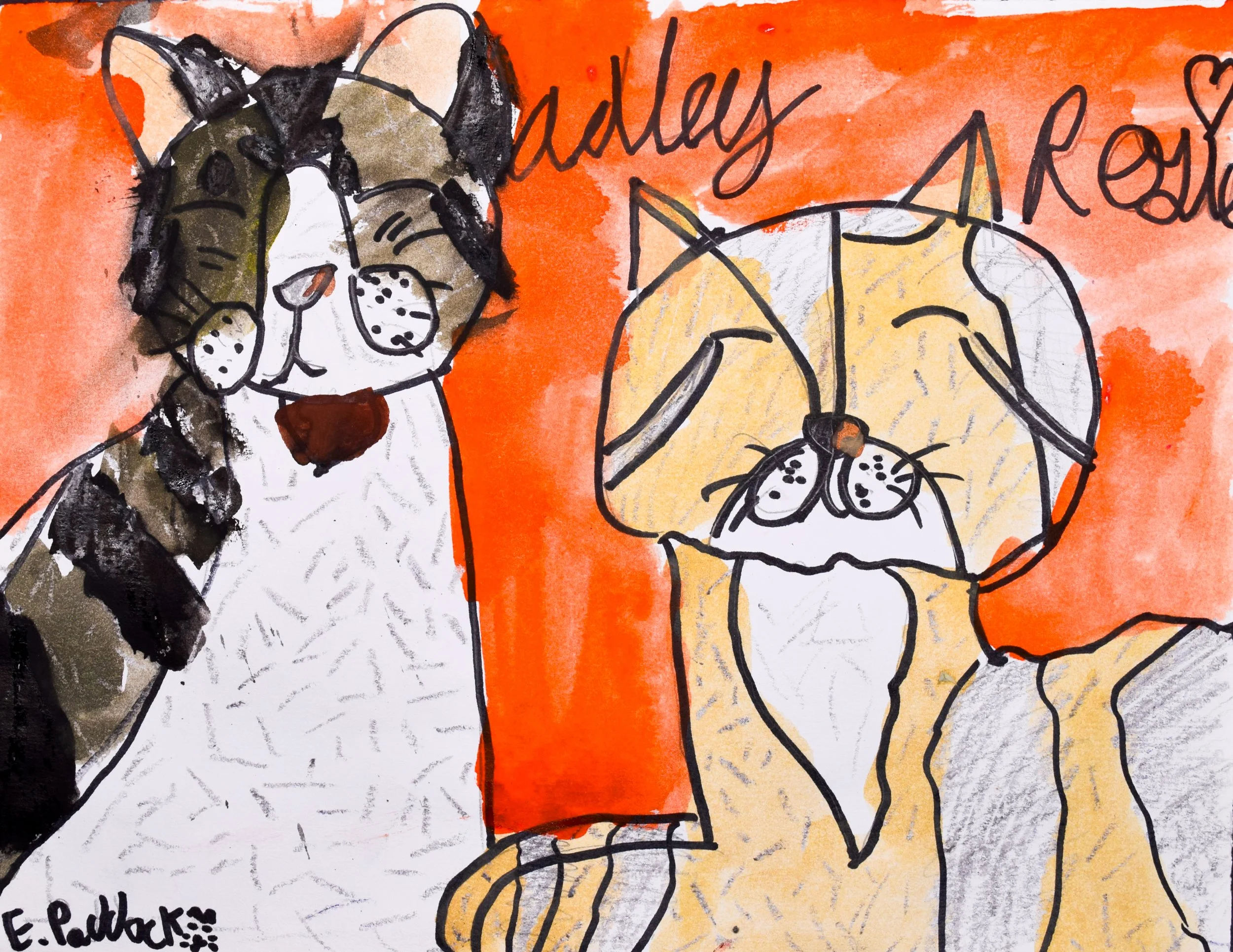 Ella P Mesaros-2.jpg