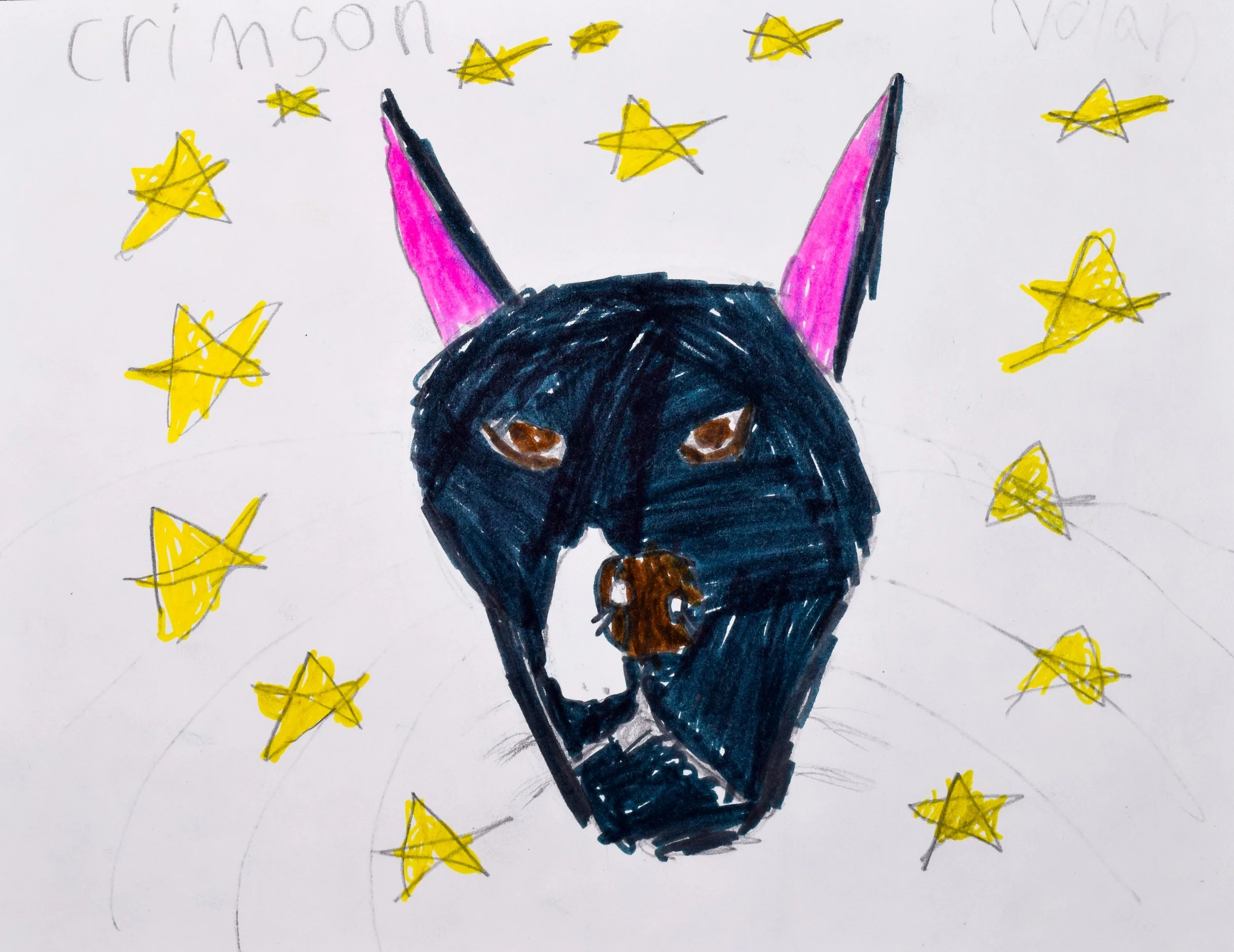 Nolan C Seyler-2.jpg