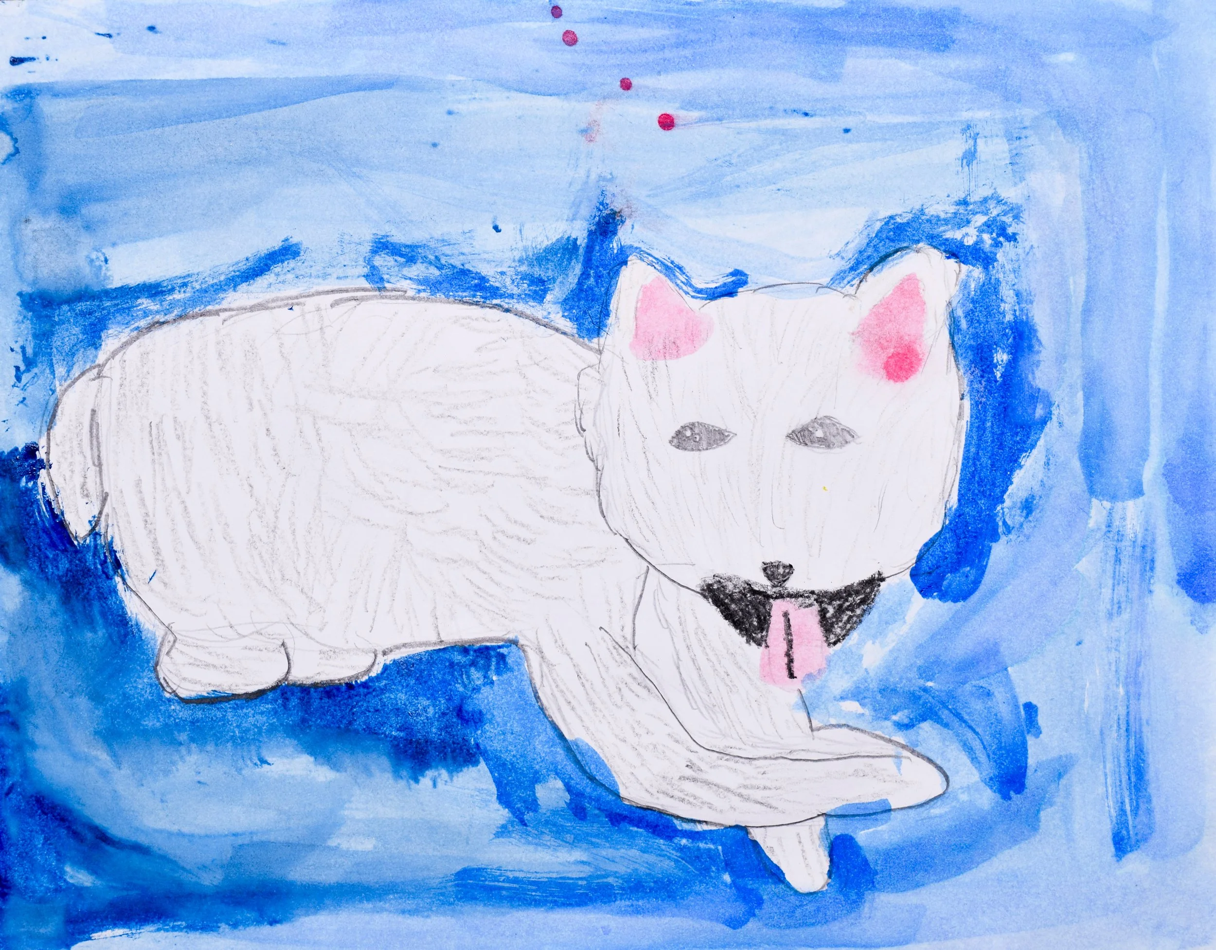 Sara S Mesaros-2.jpg