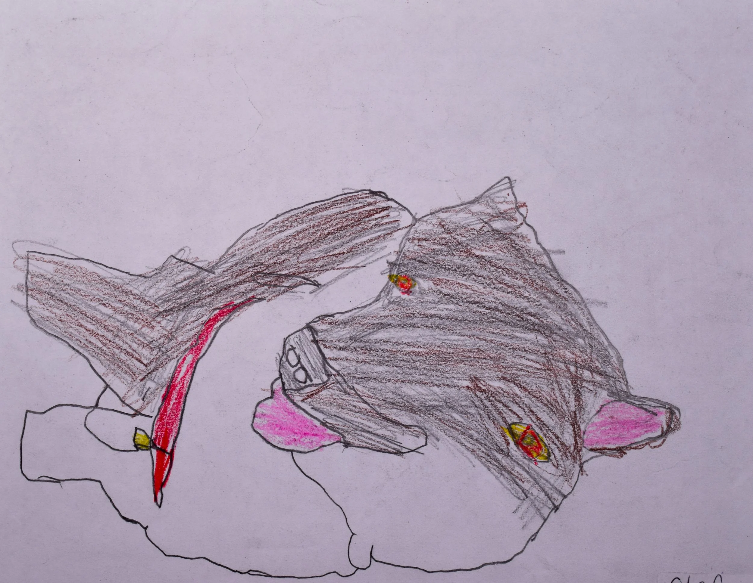 Stefan E Cathy-2.jpg