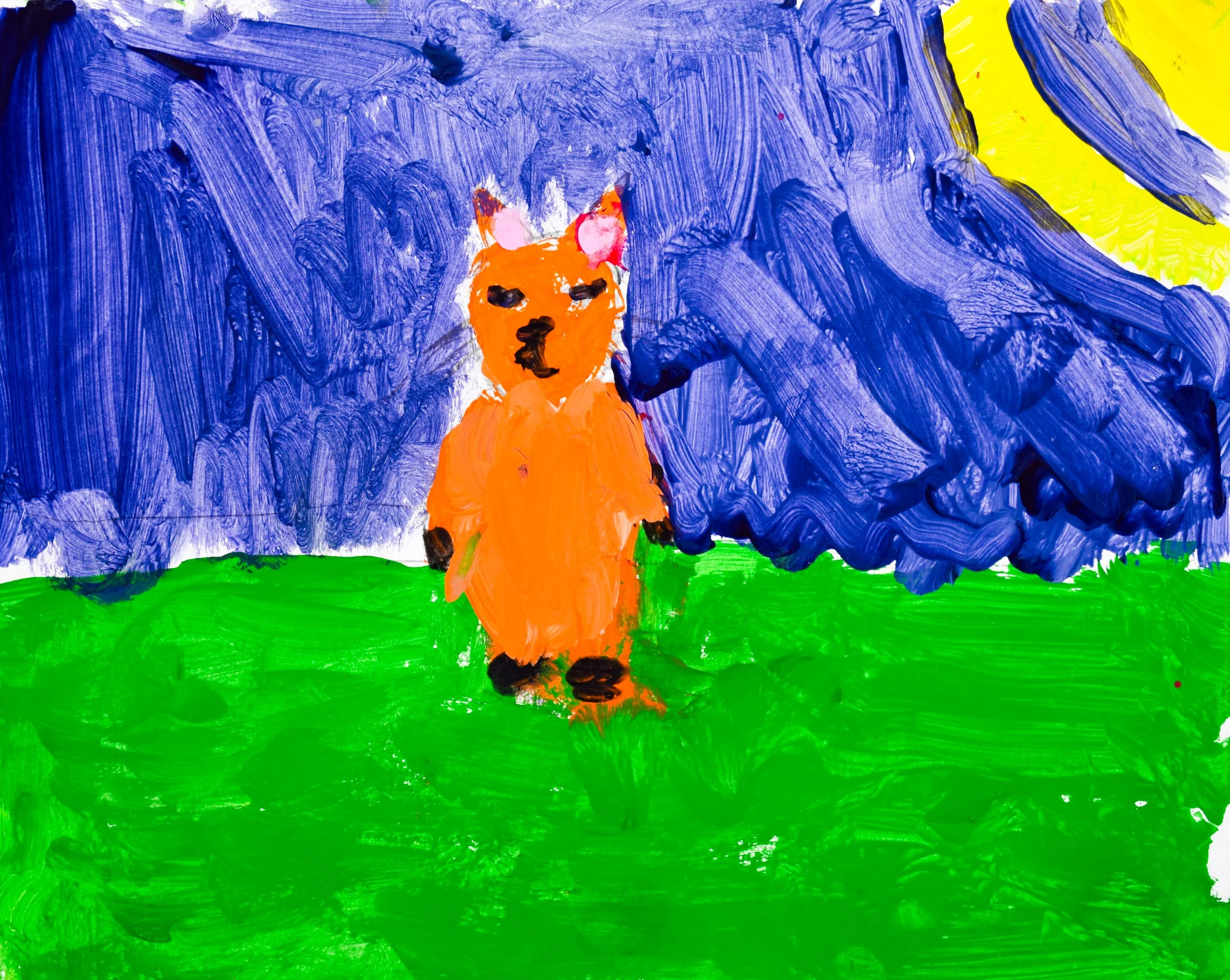 Ayesha A 2 Nelson-Lewis, Pfaff-2.jpg