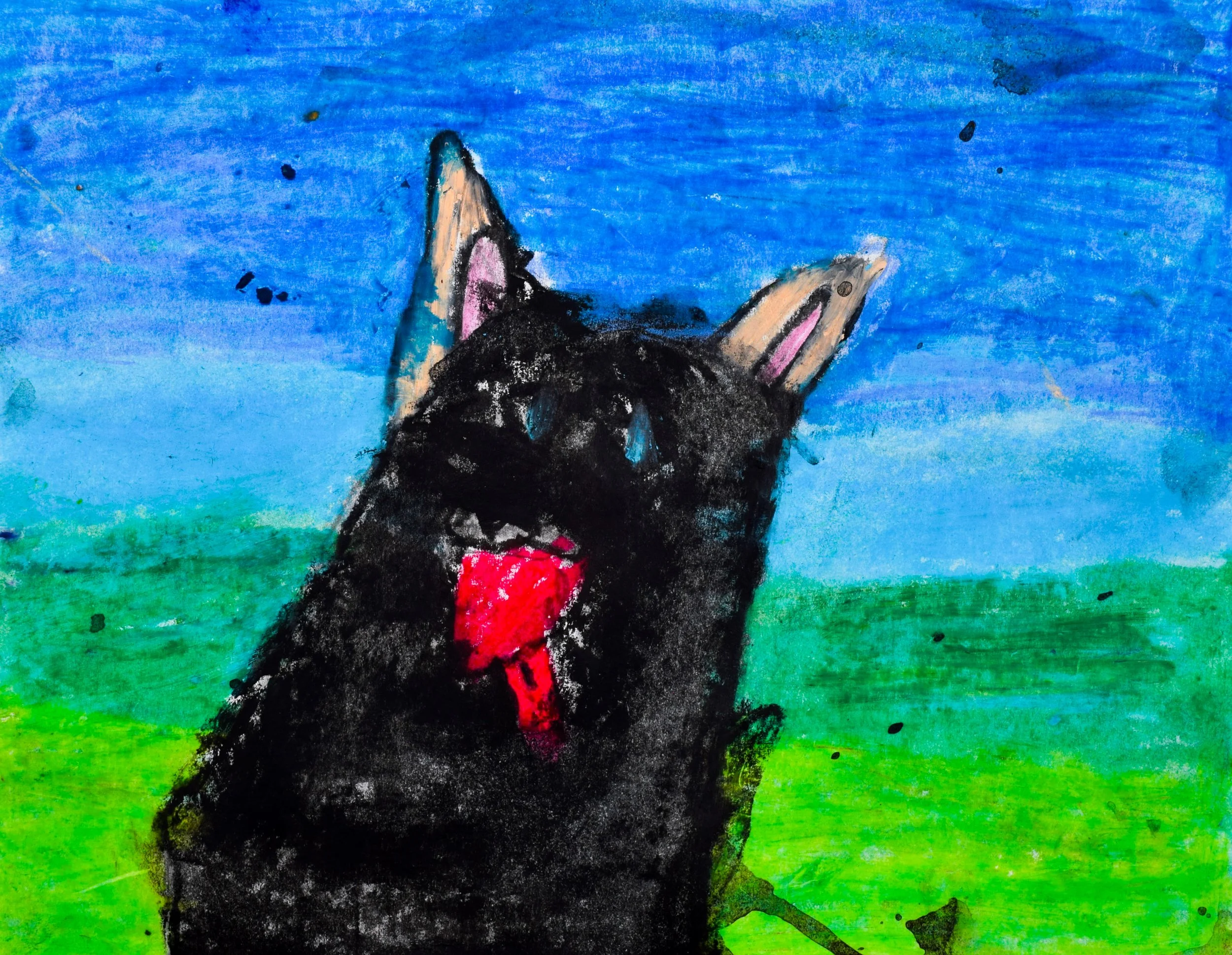 Lucas H Momenzadeh-2.jpg