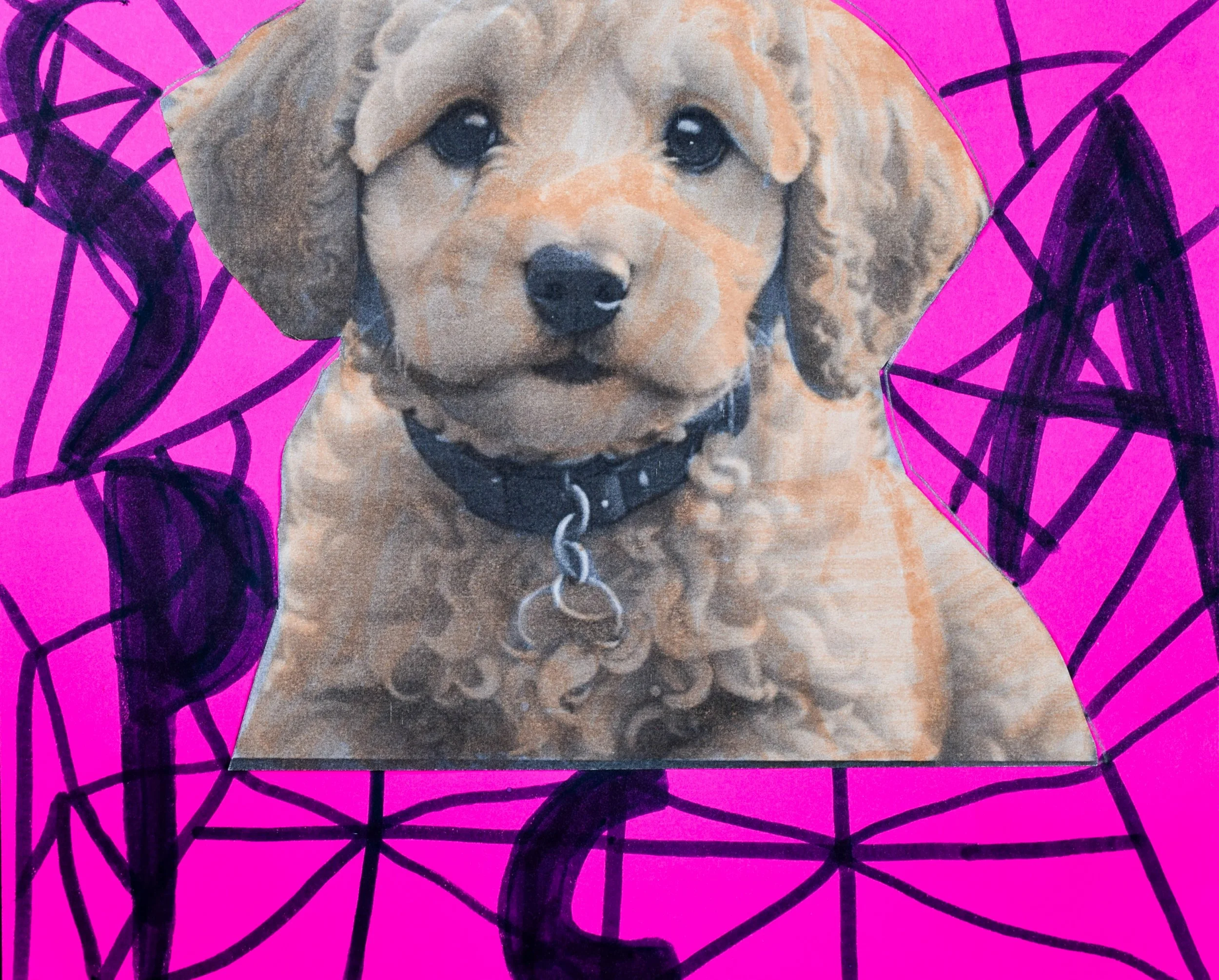 Zyla R Momenzadeh-2.jpg