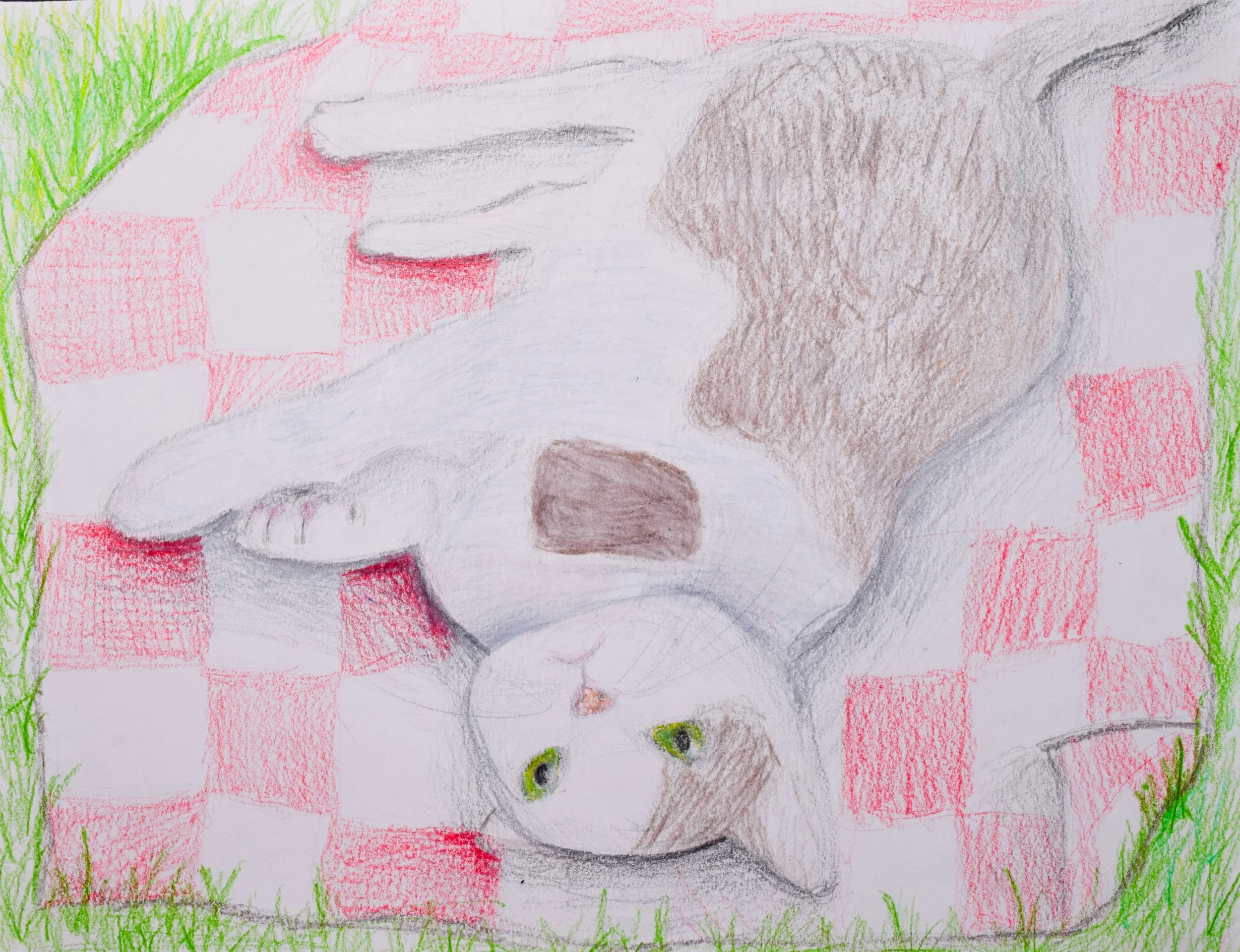 Annie L Graham-2.jpg