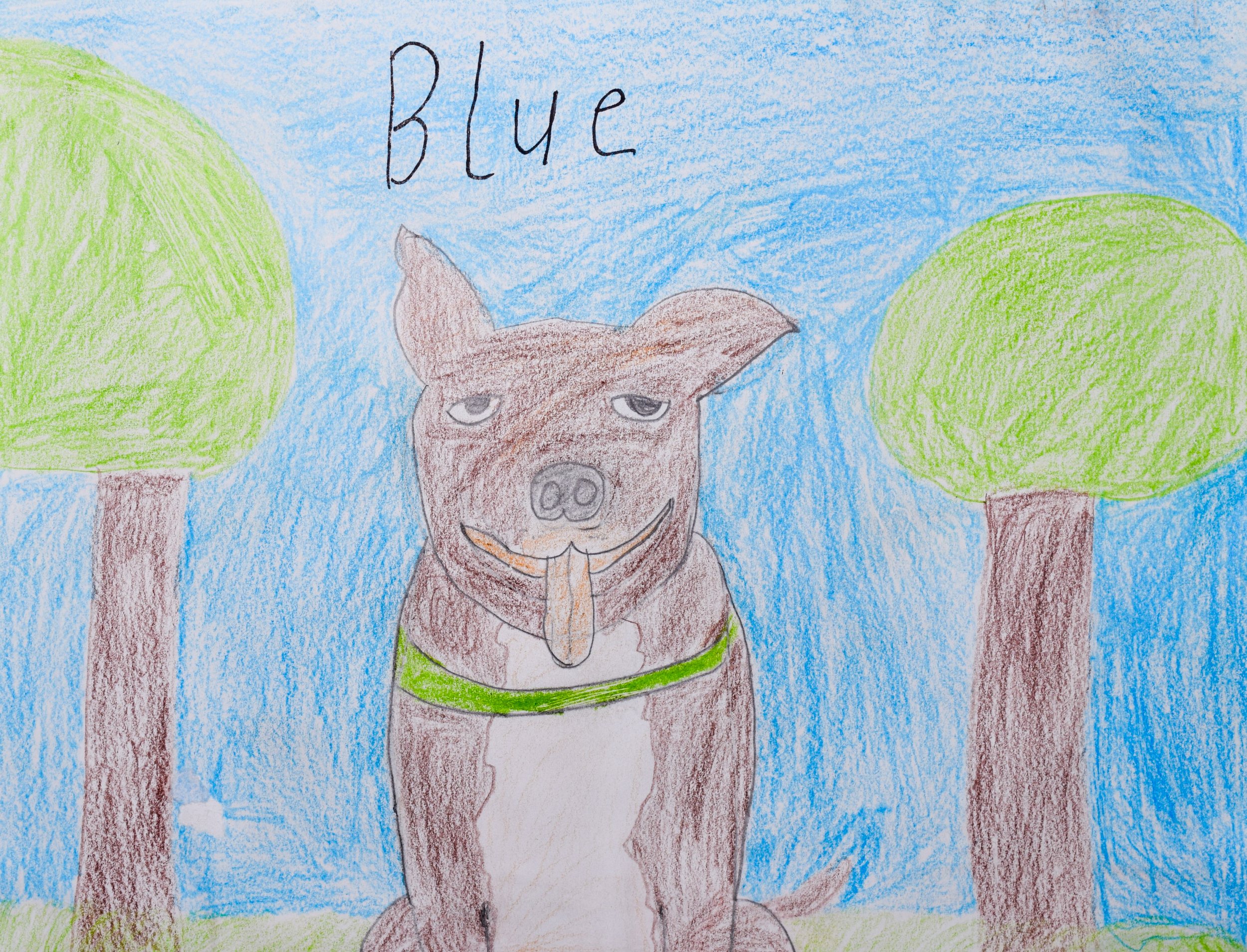 Adarsha T Graham-2.jpg