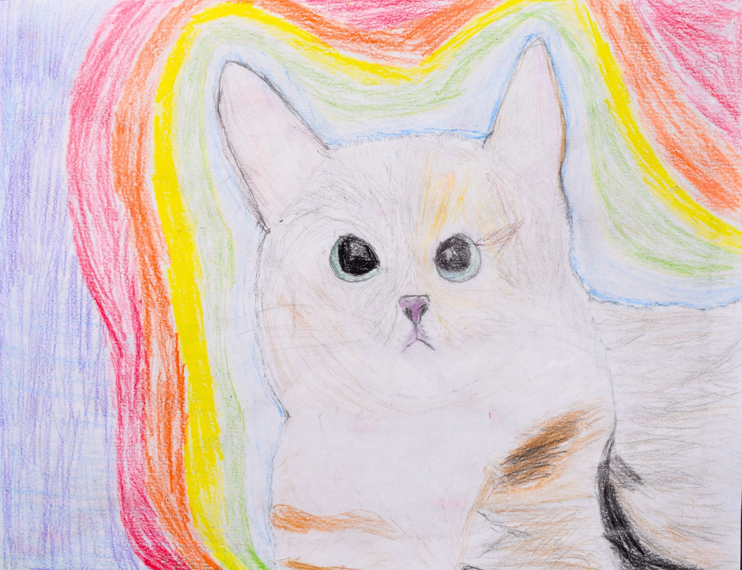 Sanav B Simpson-2.jpg