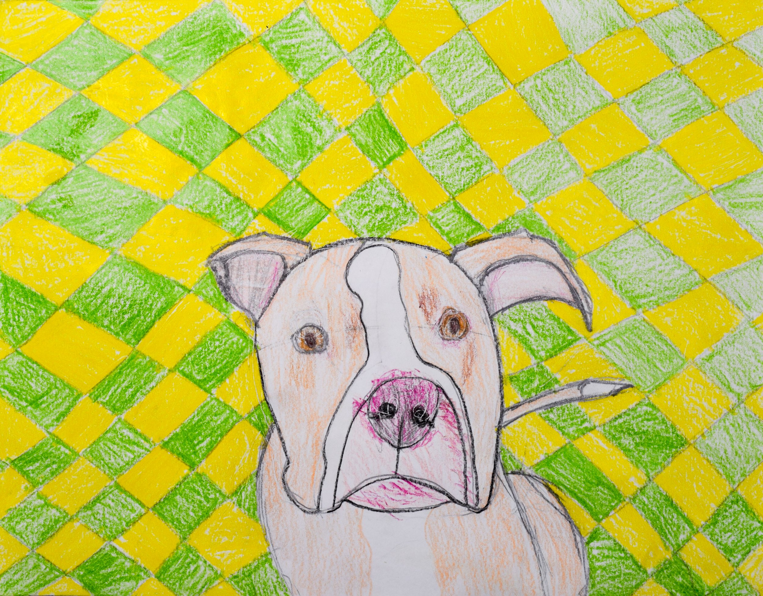 Brayden M Graham-2.jpg