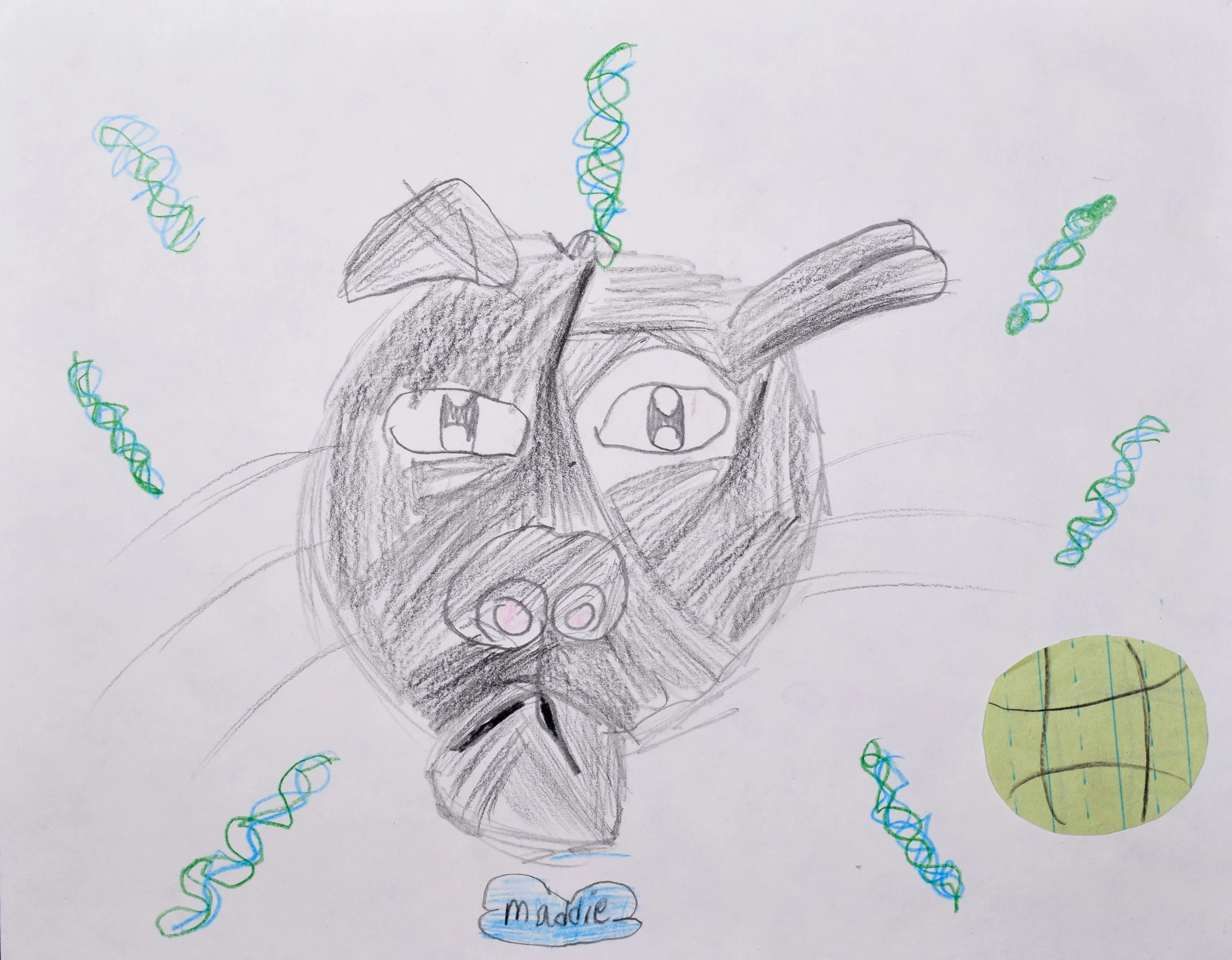 Gemma J Seyler-2.jpg