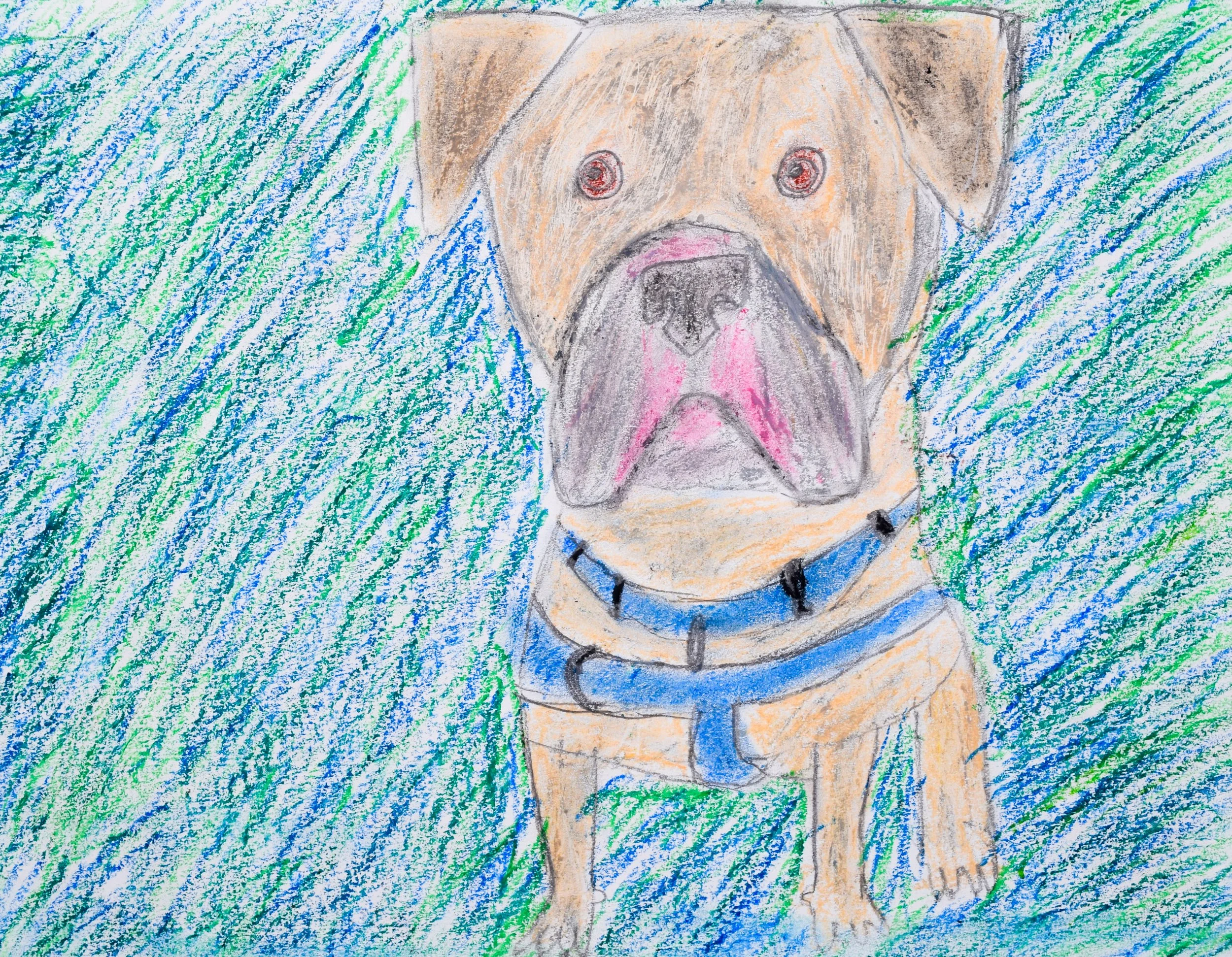 Luke S Citrano-2.jpg