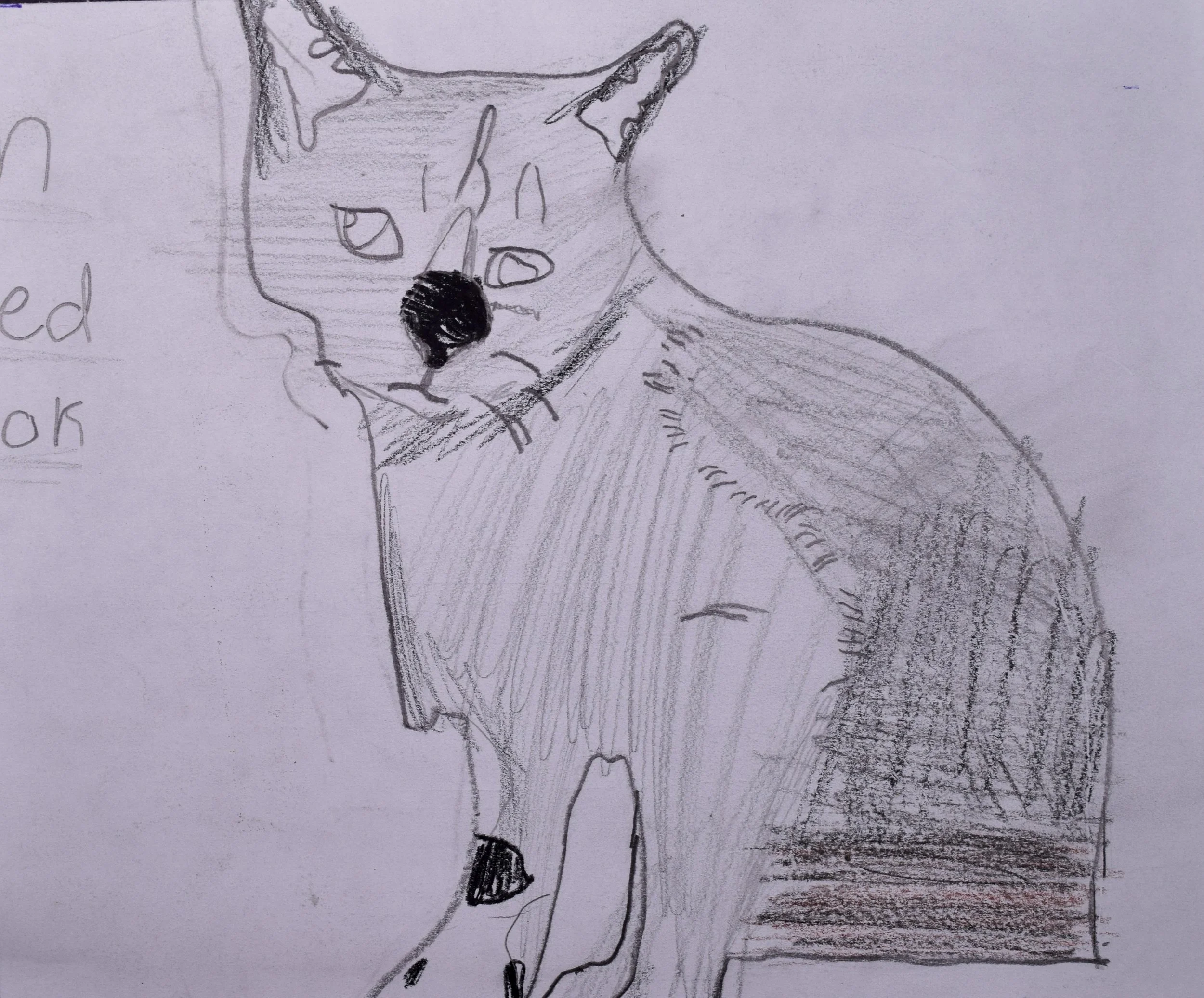 Haylee B Cathy-2.jpg