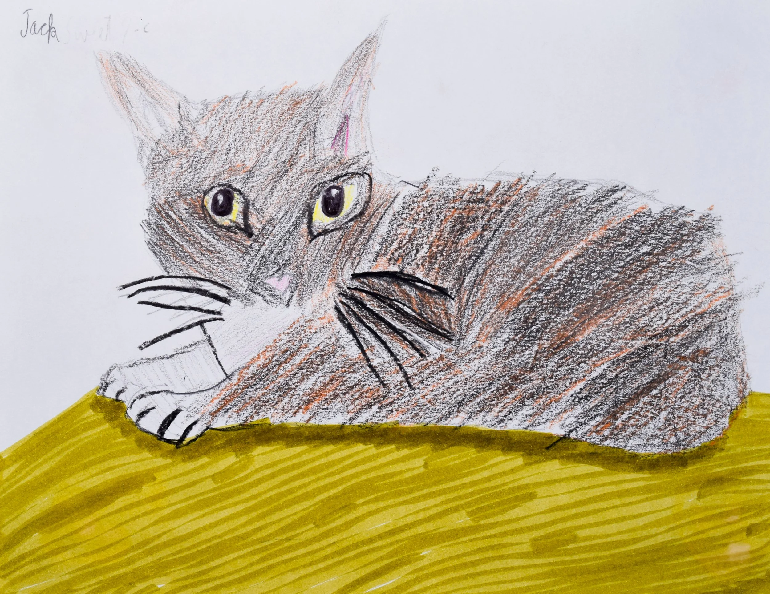 Jack S Thompson-2.jpg