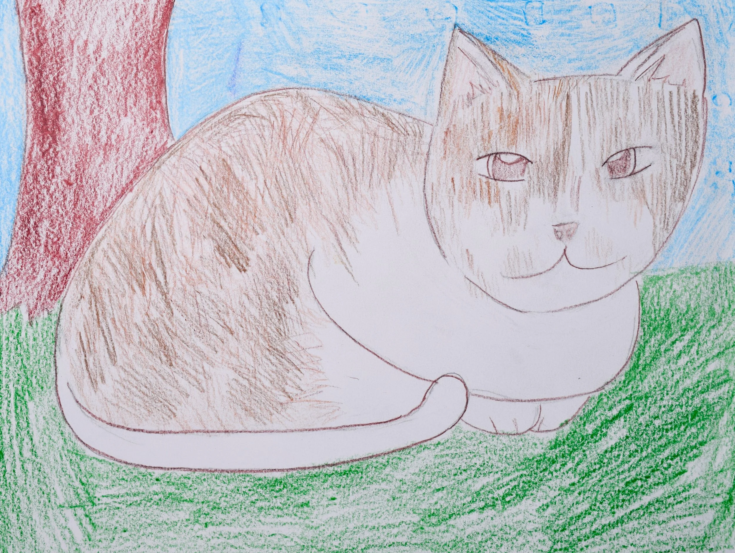 Kishori G Graham-2.jpg