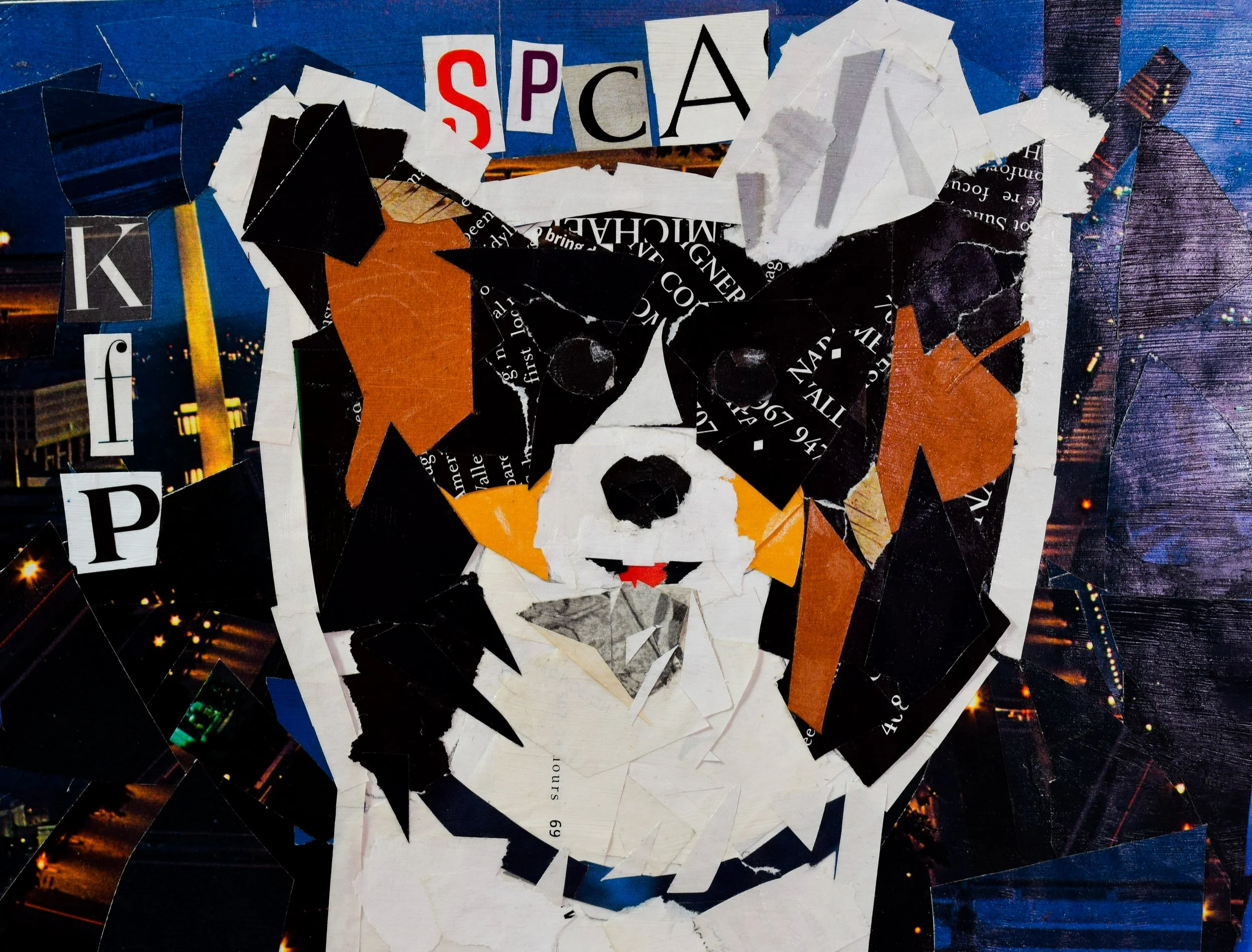 Courtney S Schappel-2.jpg