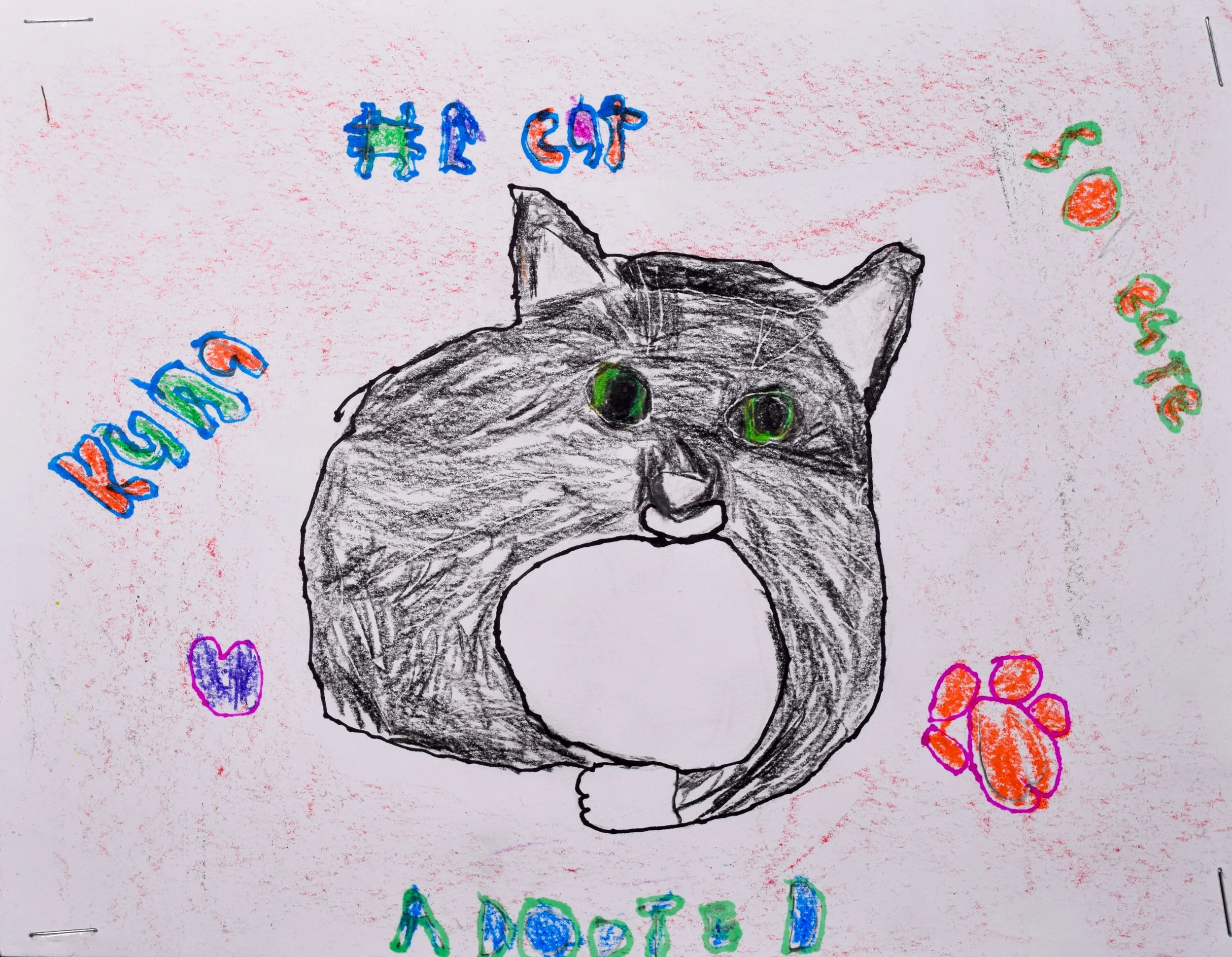 Logan M Robertson-2.jpg