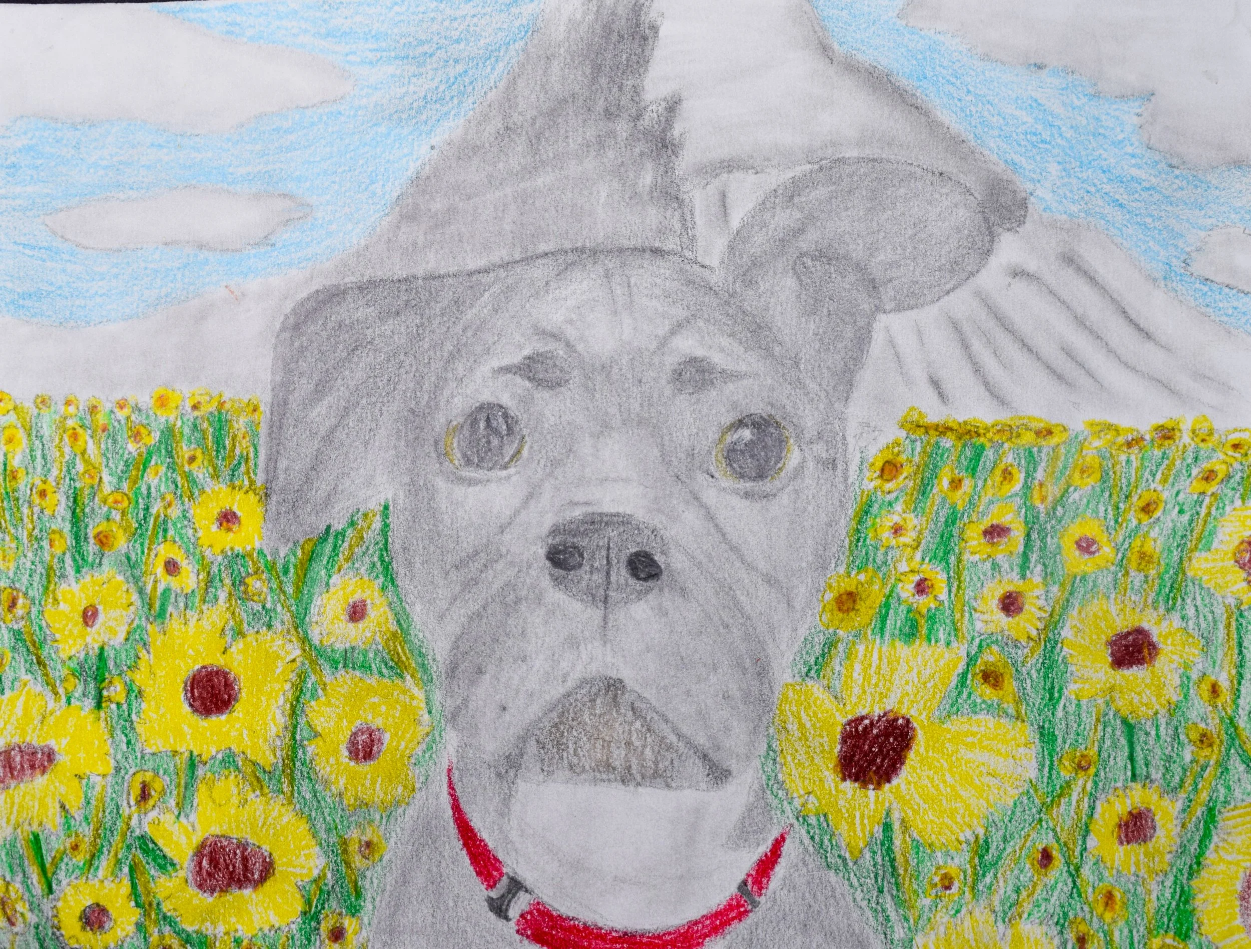 Hannah B Graham-2.jpg