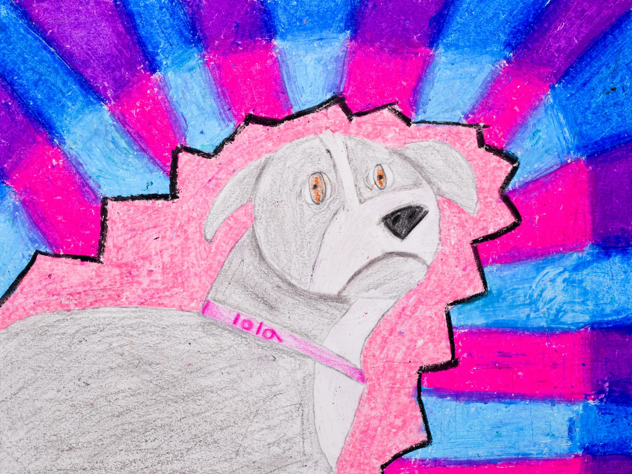 Allie M Momenzadeh-2.jpg