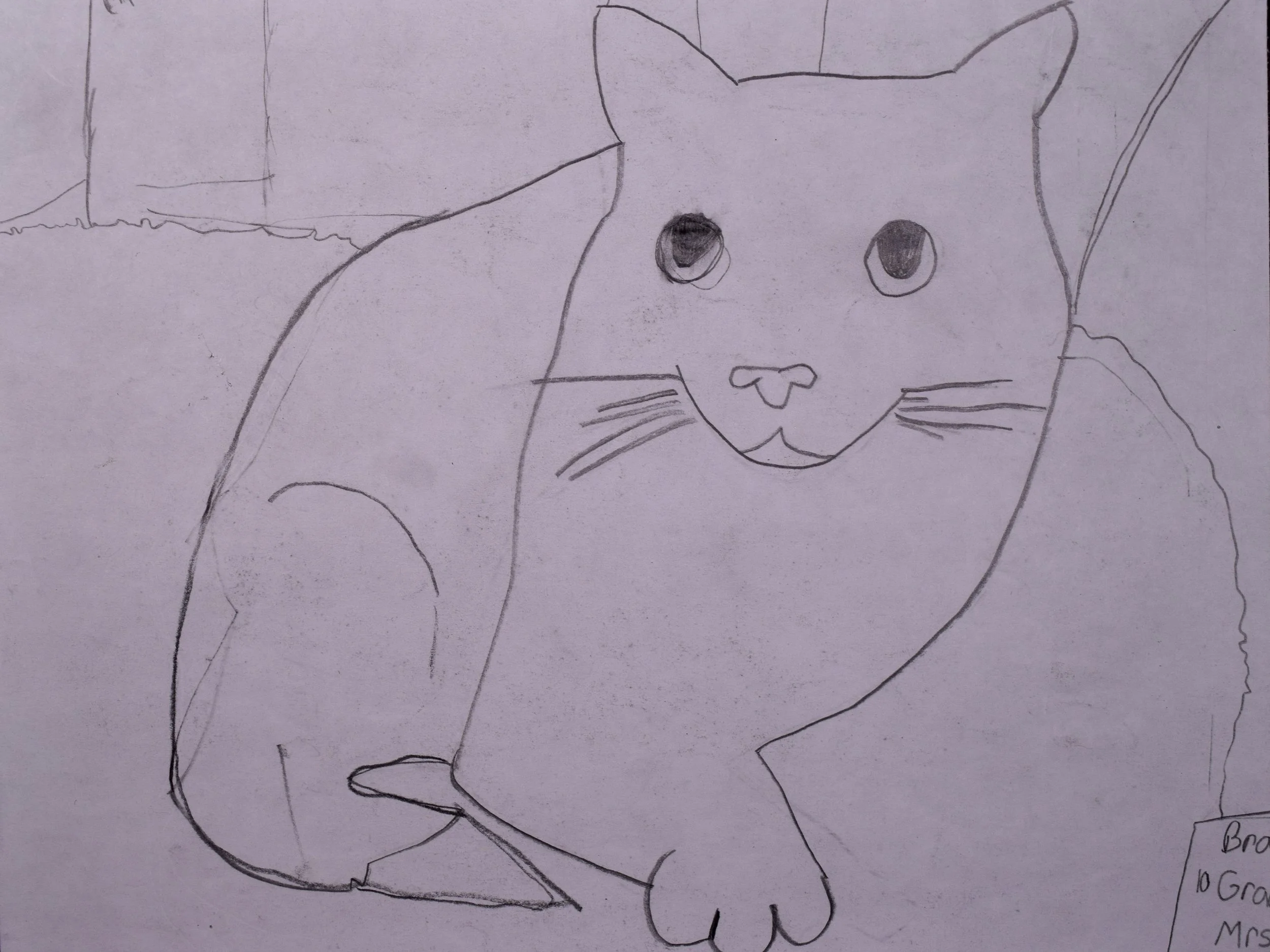 Braylynn P Cathy-2.jpg