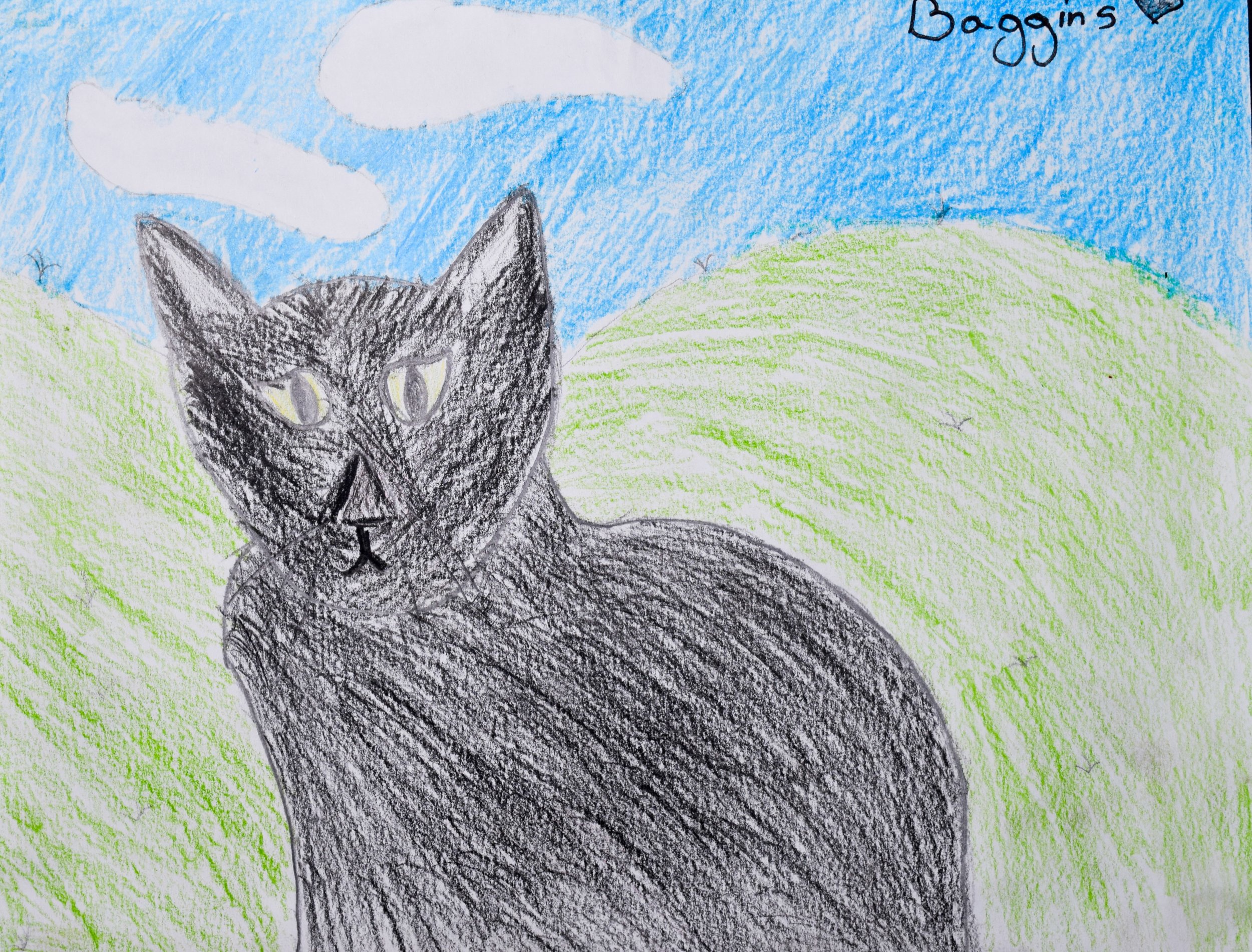 Korin B Graham-2.jpg