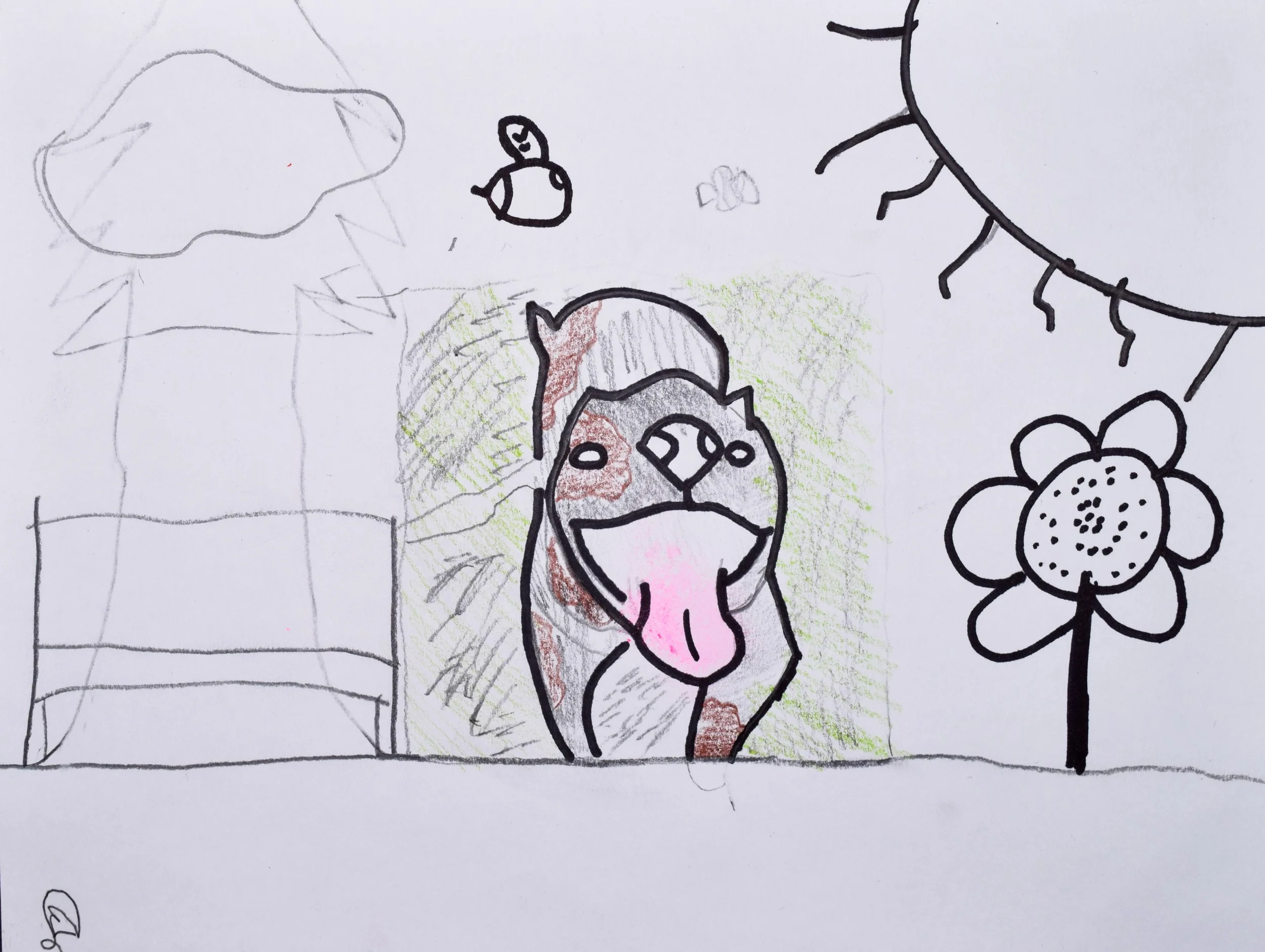 David B Liberto-2.jpg