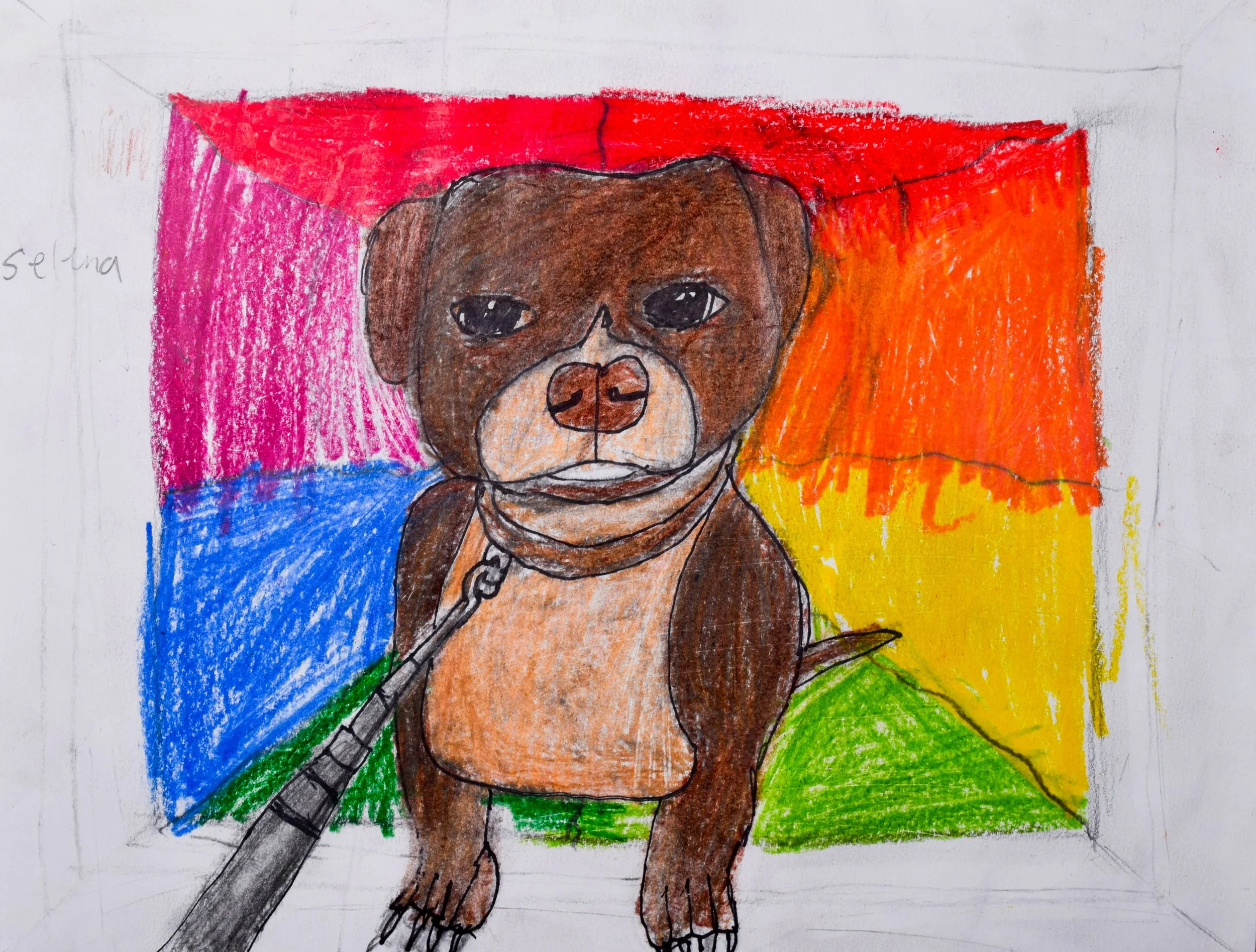 Selena C Graham-2.jpg