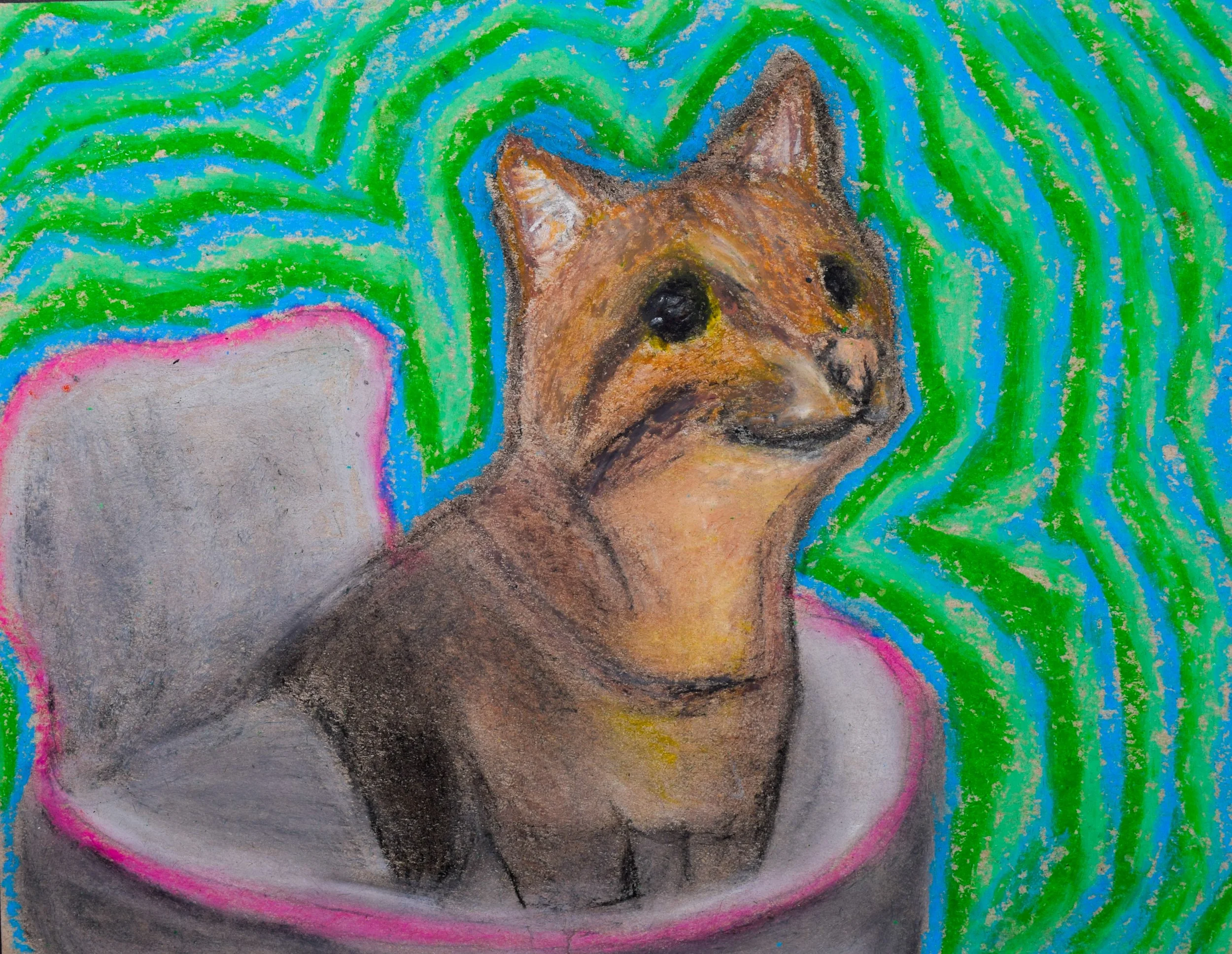 Lochlan B Jones-2.jpg