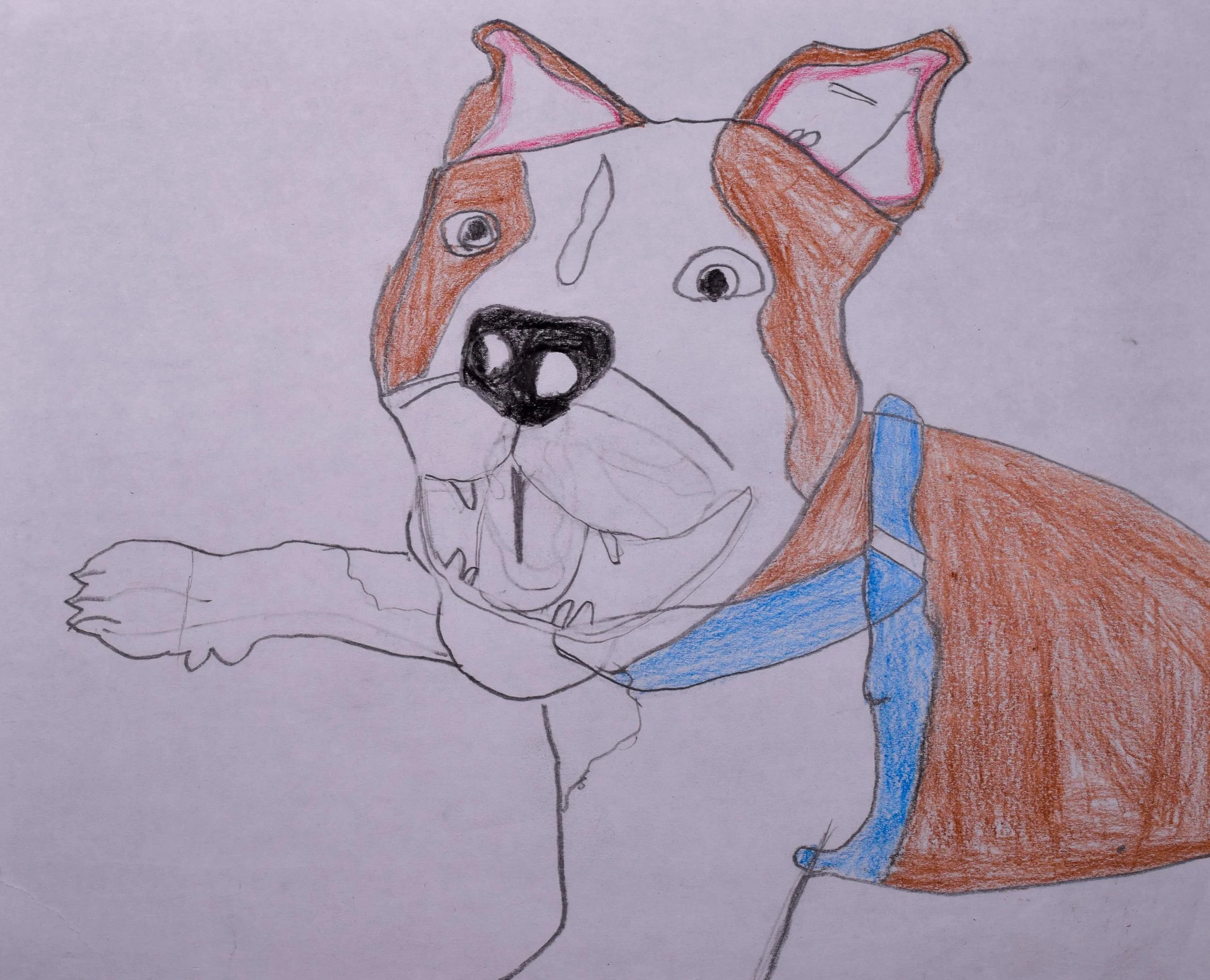 Princeton D Cathy-2.jpg