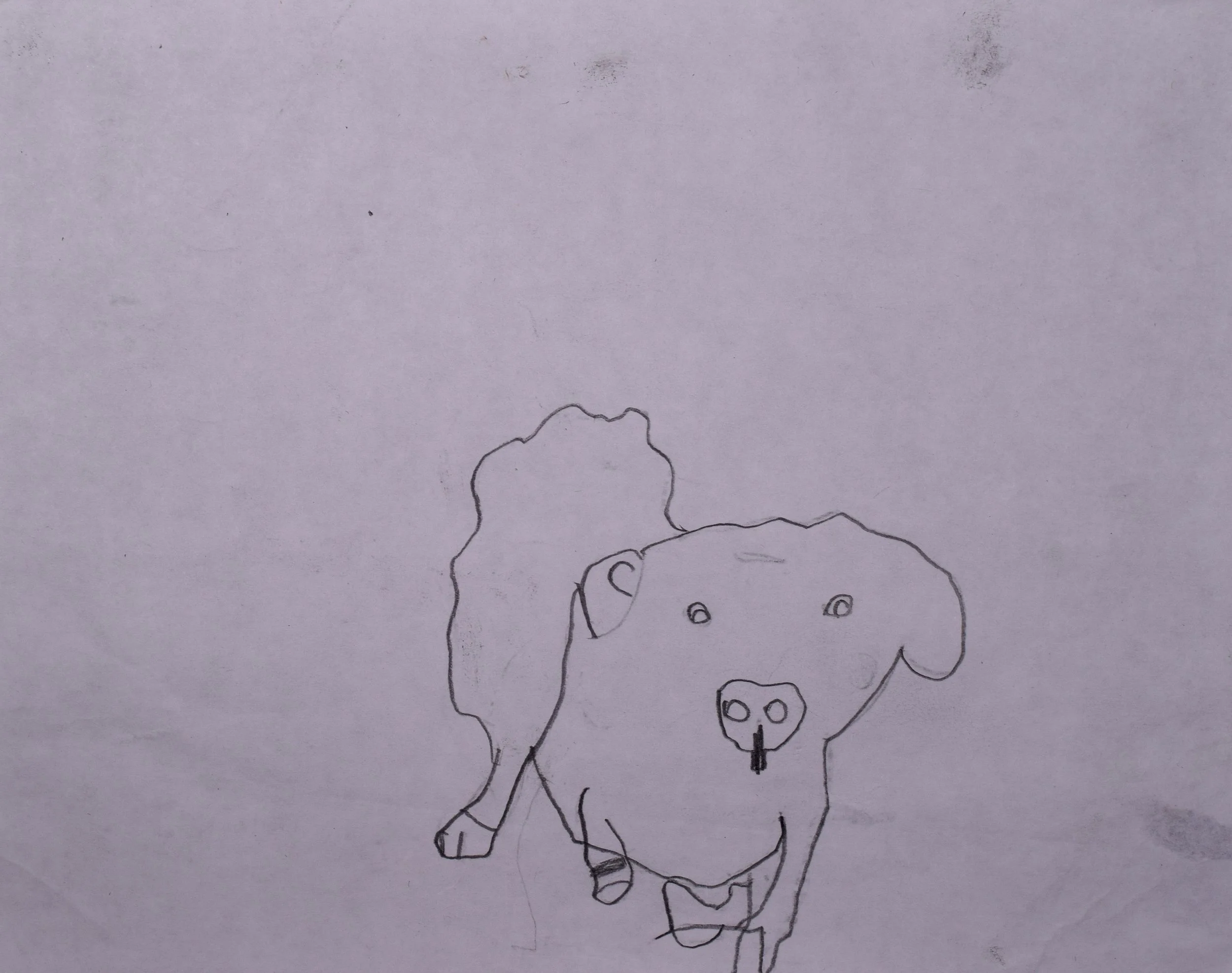 Camden S Cathy-2.jpg