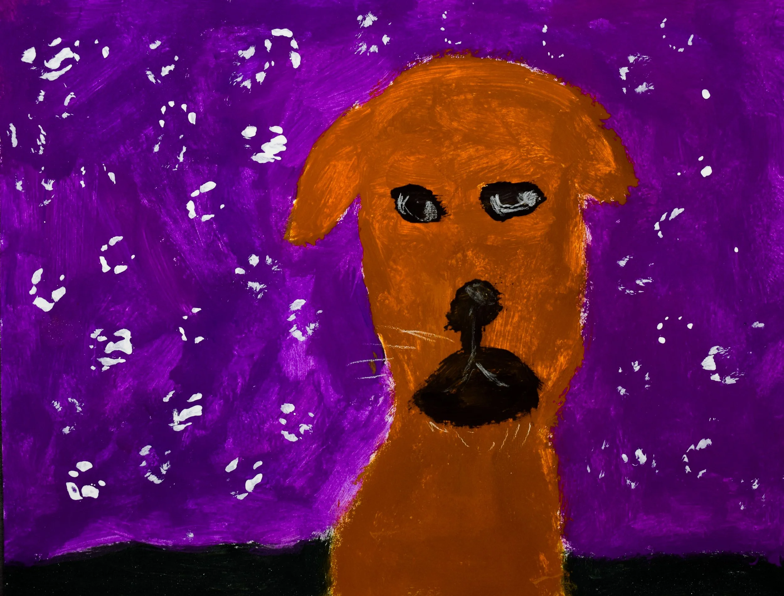 Chloe H Momenzadeh-2.jpg